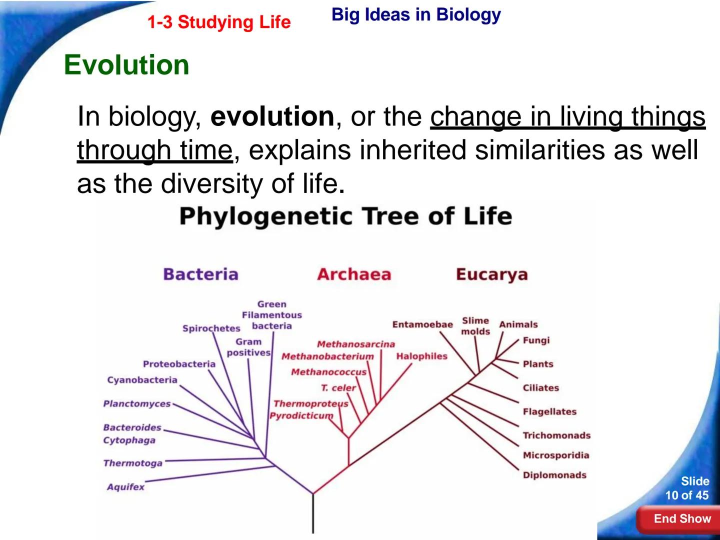 # 1-3 Studying Life

Slide
1 of 45

End Show # 1-3 Studying Life Characteristics of Living Things

What are some characteristics of living
t