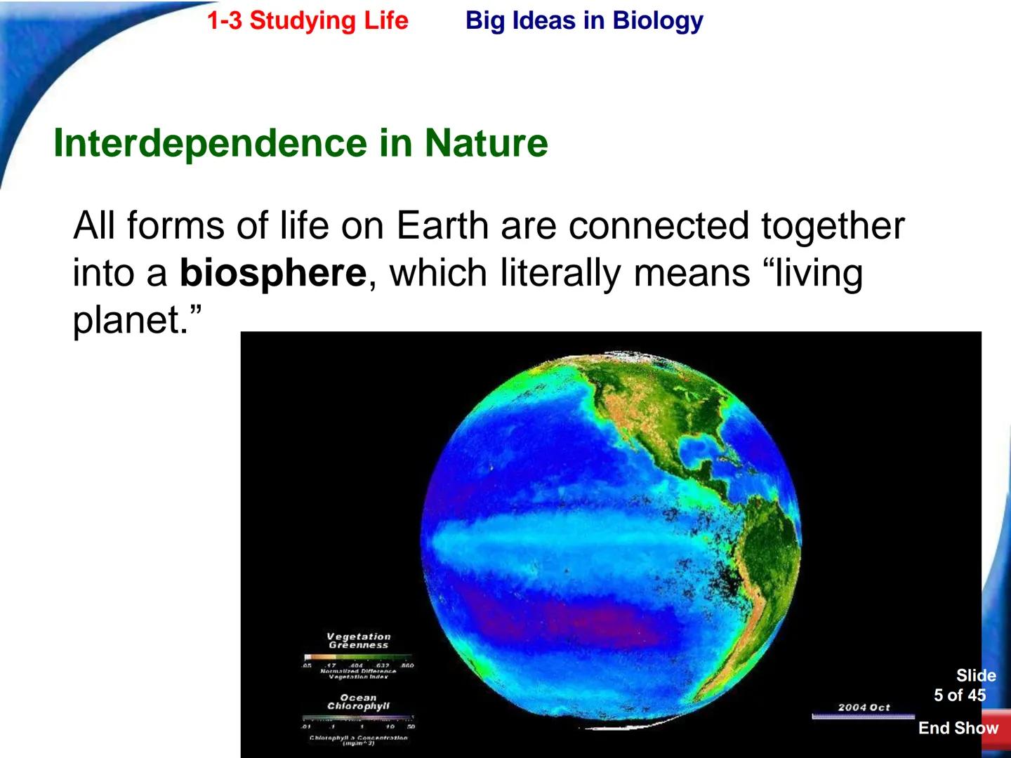 # 1-3 Studying Life

Slide
1 of 45

End Show # 1-3 Studying Life Characteristics of Living Things

What are some characteristics of living
t