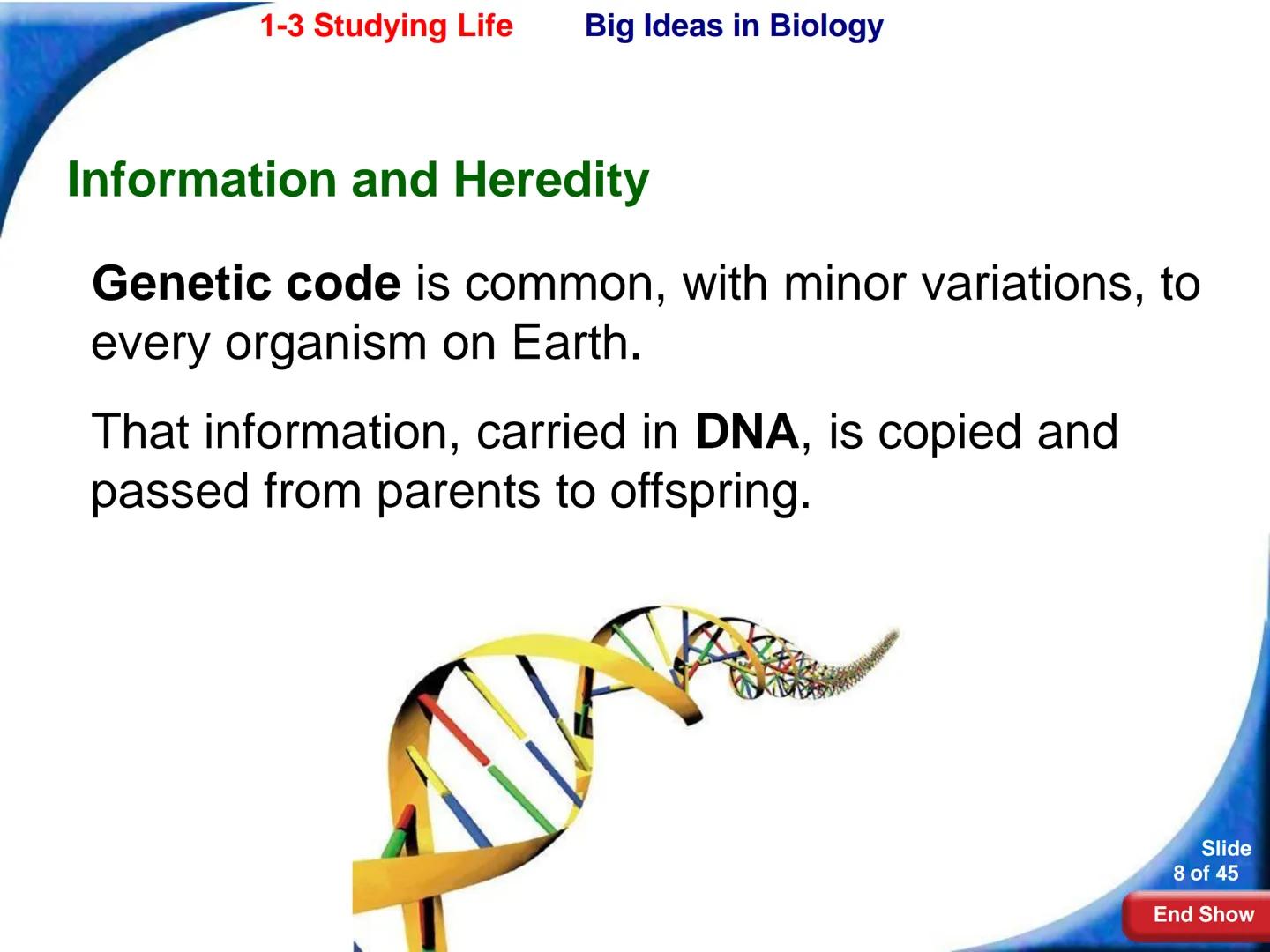 # 1-3 Studying Life

Slide
1 of 45

End Show # 1-3 Studying Life Characteristics of Living Things

What are some characteristics of living
t