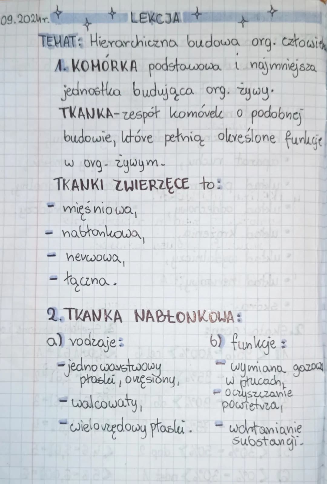 09.2024.
+ LEKCJA +
+
+
TEHAT: Hierarchiczna budowa org. człowie
1. KOMÓRKA podstawowa i najmniejsza
jednostka budująca org. żywy.
TKANKA-ze