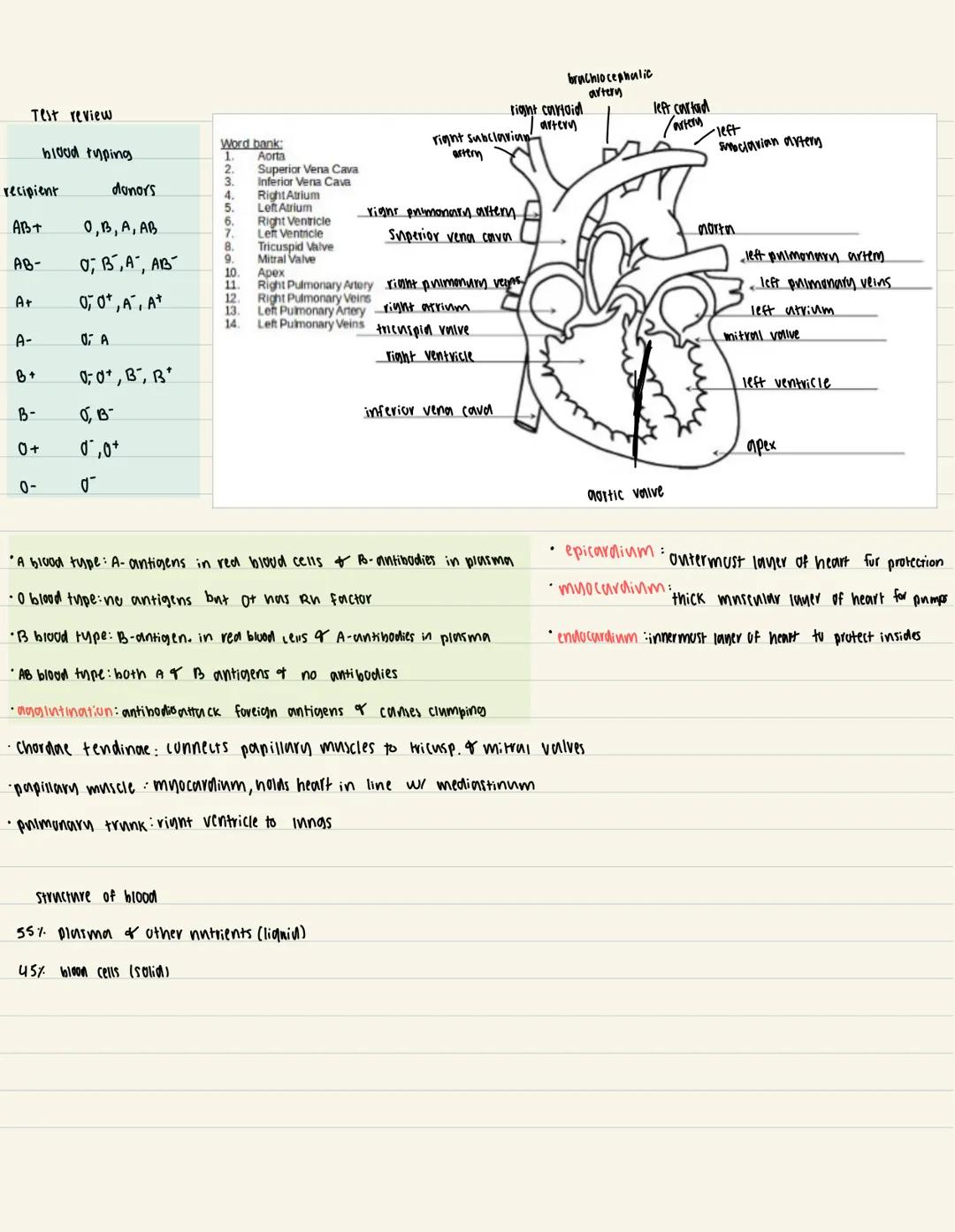 # Test review

blood typing

recipient | donors
----------|----------
AB+ | O, B, A, AB
AB- | O, B, A, AB
A+ | O, O+, A, A+
A- | O; A
B+ | 0