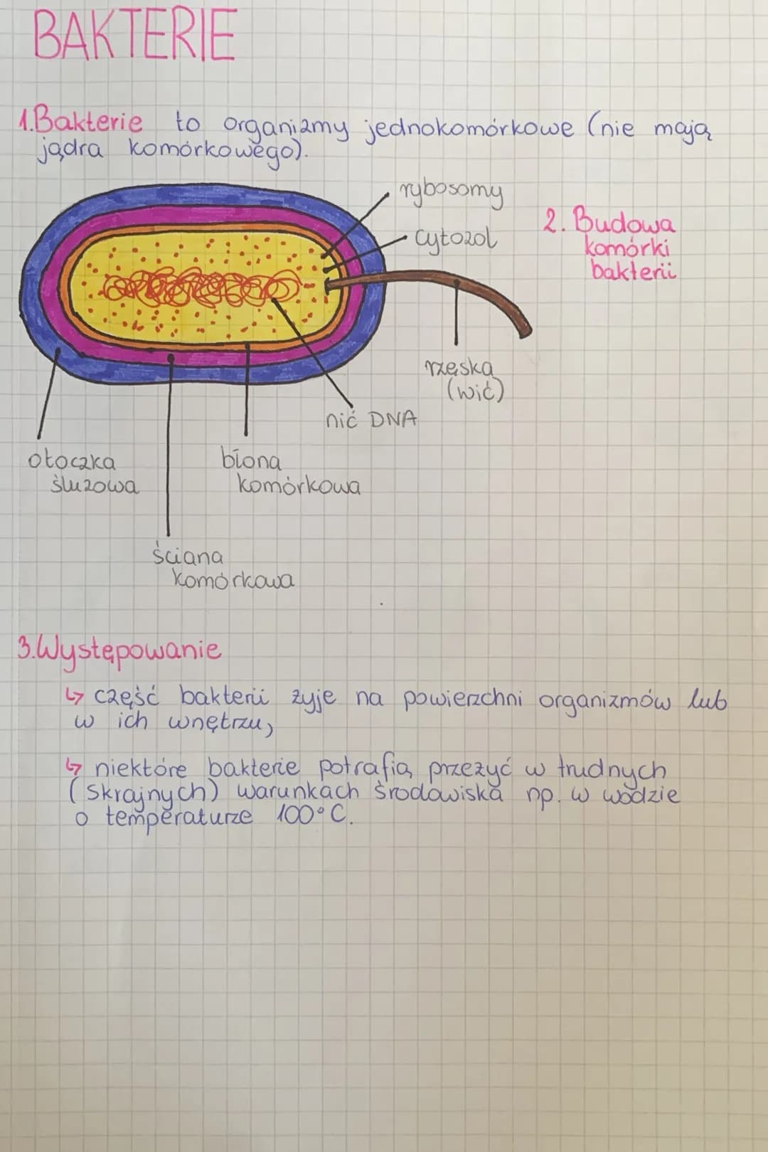 
<h2>Wirusy</h2>
<p>Wirusy to bardzo małe cząstki zakaźne, które posiadają zdolność wnękowania do komórek organizmów i wywoływania chorób. N