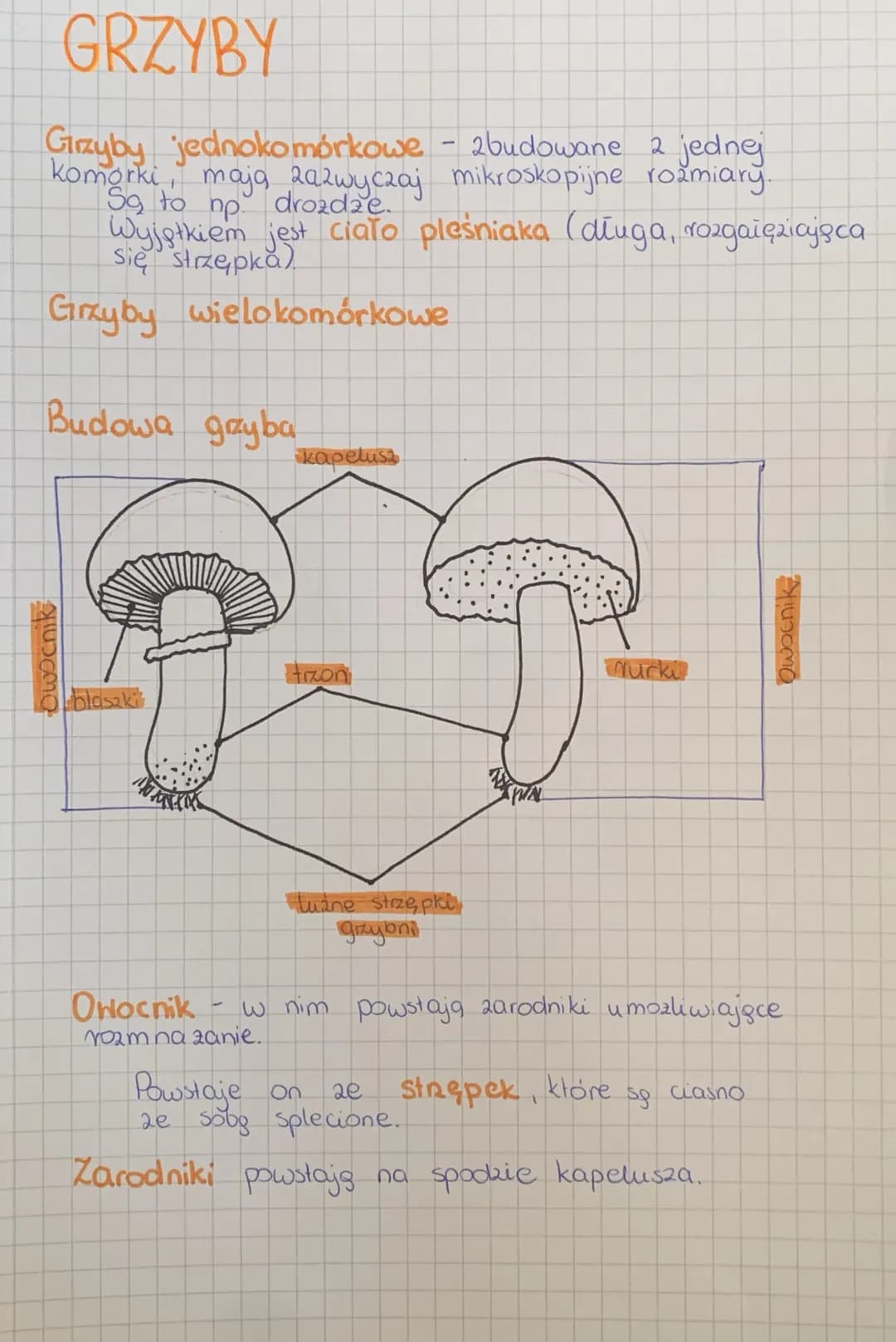 
<h2>Wirusy</h2>
<p>Wirusy to bardzo małe cząstki zakaźne, które posiadają zdolność wnękowania do komórek organizmów i wywoływania chorób. N