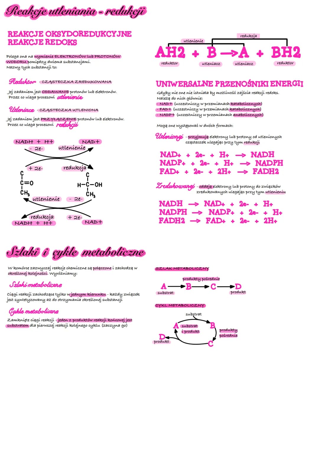 # Lodstawowe zasady
metabolizmu

Metabolizm
Jest to szereg zależnych od siebie przemian
(bio) chemicznych i energetyoznych zachodzqoych
w ży