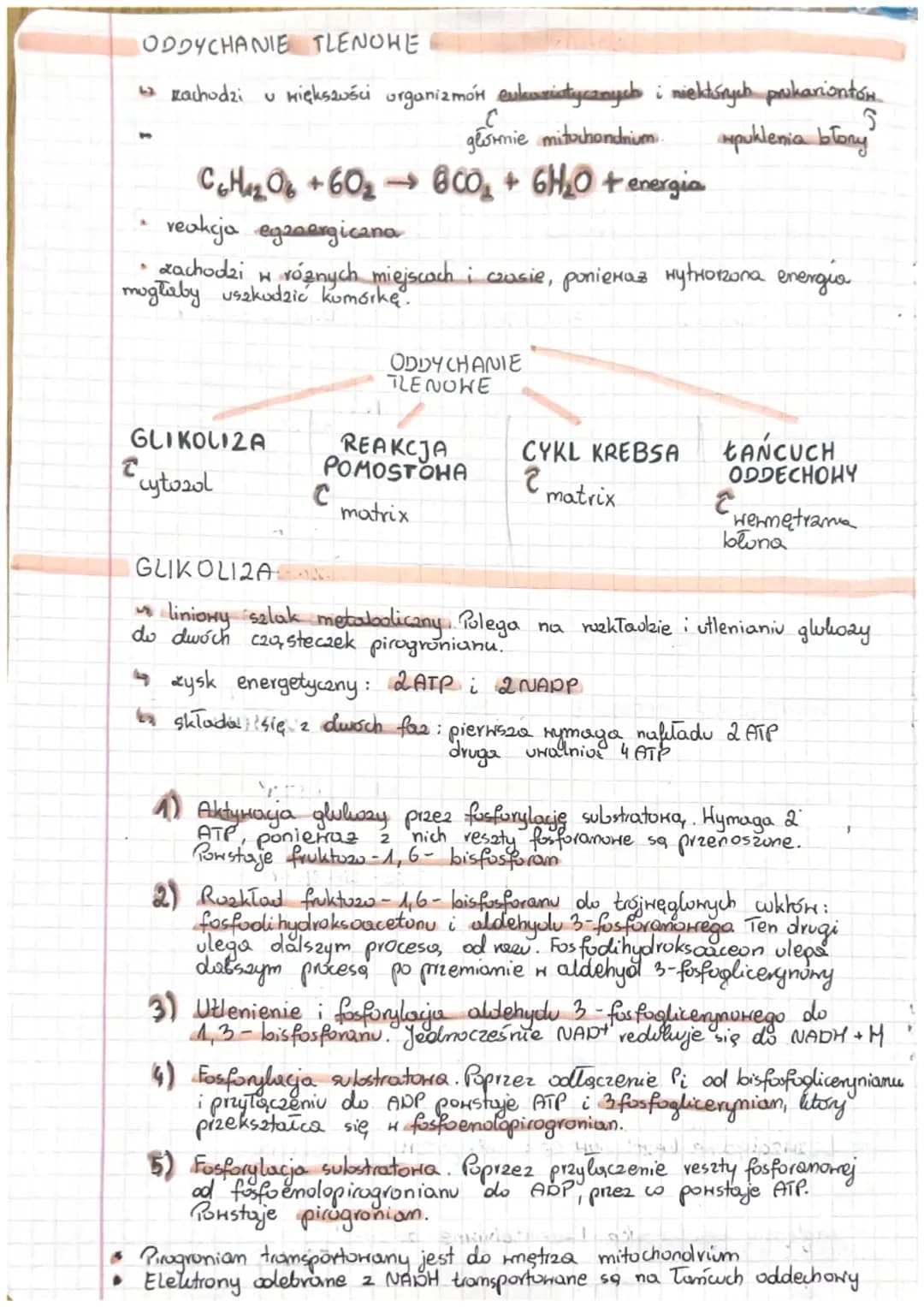 # ODDYCHANIE KOMÓRKOHE
# ODDYCHANIE TLENOHE
Oddychanie komórkowe - podstanony proces dostarczający
komorce energis. Polega na
rozkladaniu i 