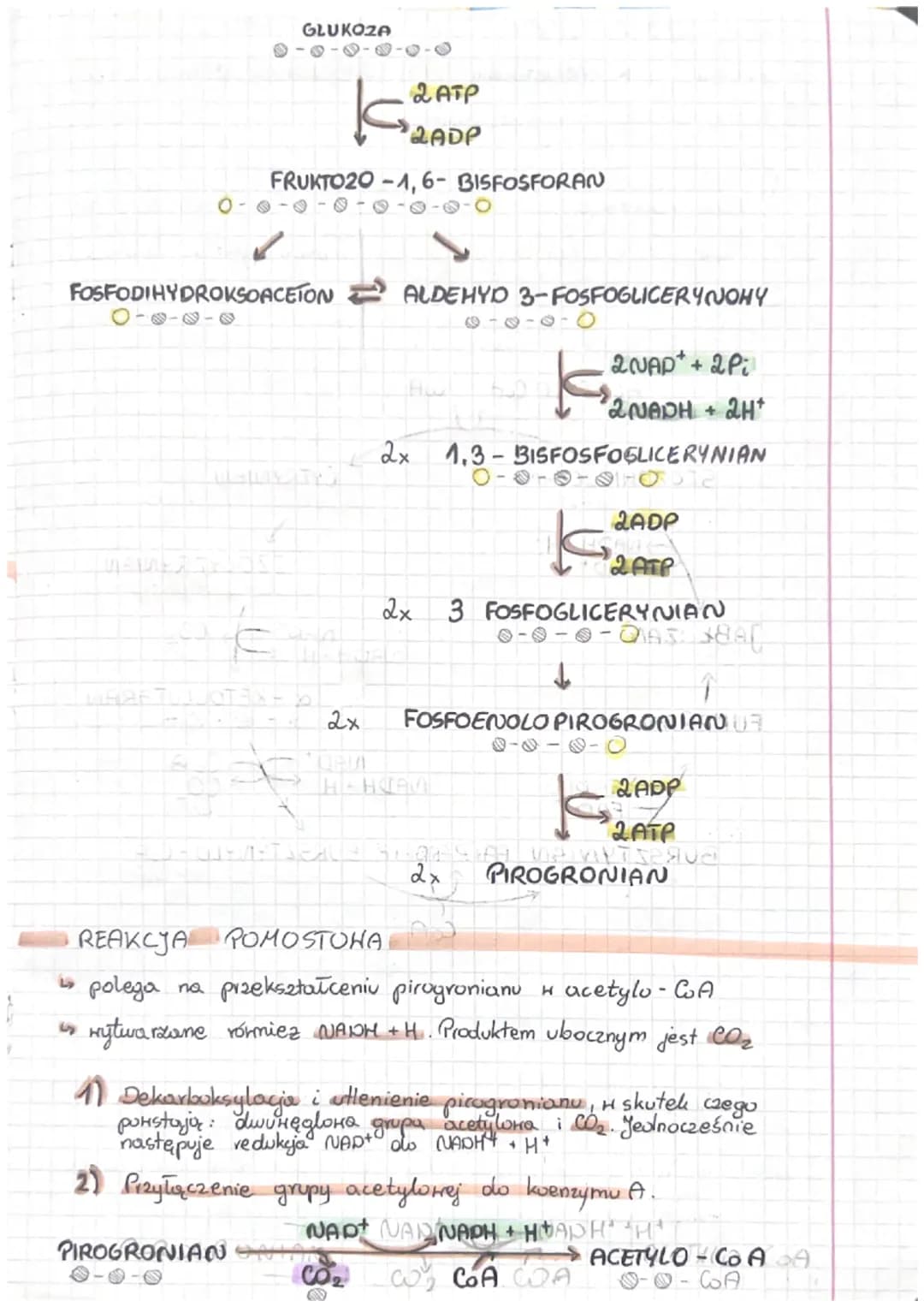 # ODDYCHANIE KOMÓRKOHE
# ODDYCHANIE TLENOHE
Oddychanie komórkowe - podstanony proces dostarczający
komorce energis. Polega na
rozkladaniu i 