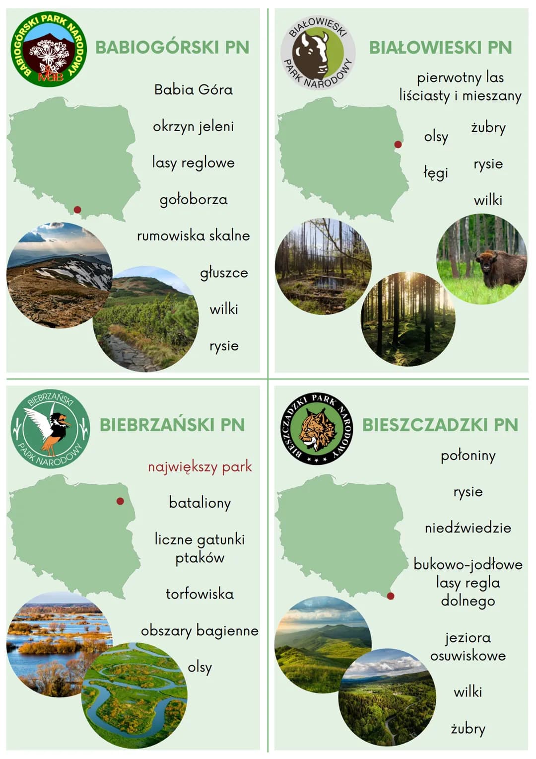 # BABIOGÓRSKI PN
Babia Góra

okrzyn jeleni

lasy reglowe

gołoborza

rumowiska skalne

głuszce

wilki

rysie

# BIAŁOWIESKI PN
pierwotny las