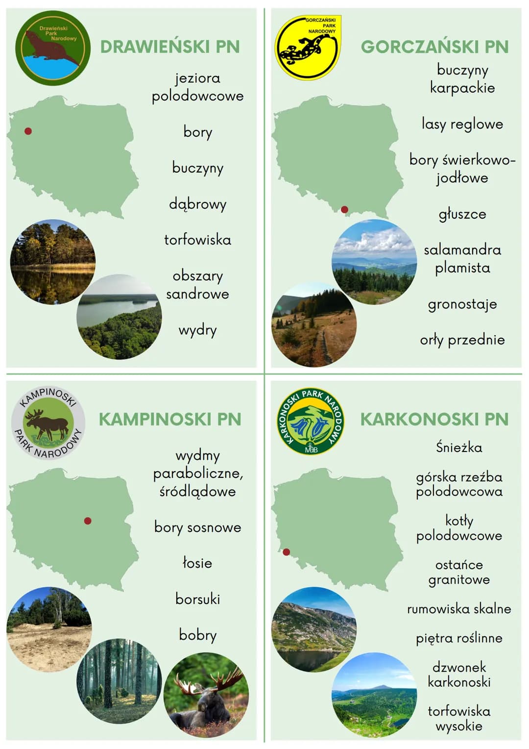 # BABIOGÓRSKI PN
Babia Góra

okrzyn jeleni

lasy reglowe

gołoborza

rumowiska skalne

głuszce

wilki

rysie

# BIAŁOWIESKI PN
pierwotny las
