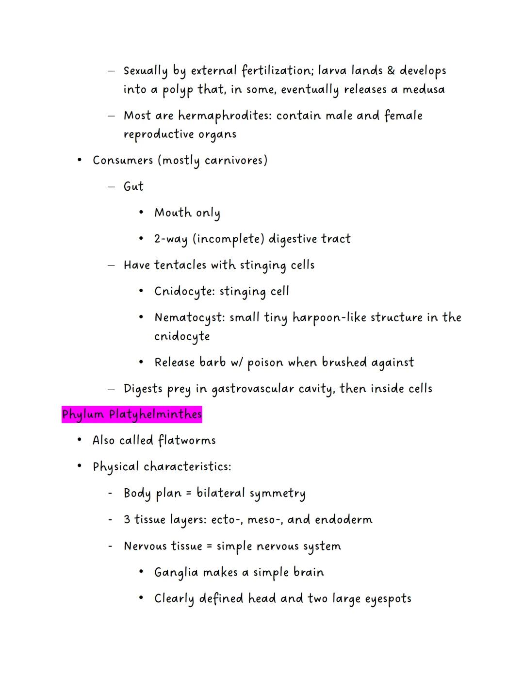 Phylum Porifera

Invertebrates

Example: Sponges

Physical Characteristics

Asymmetrical

No tissues

No coelom (acelomates)

Evolutionary A