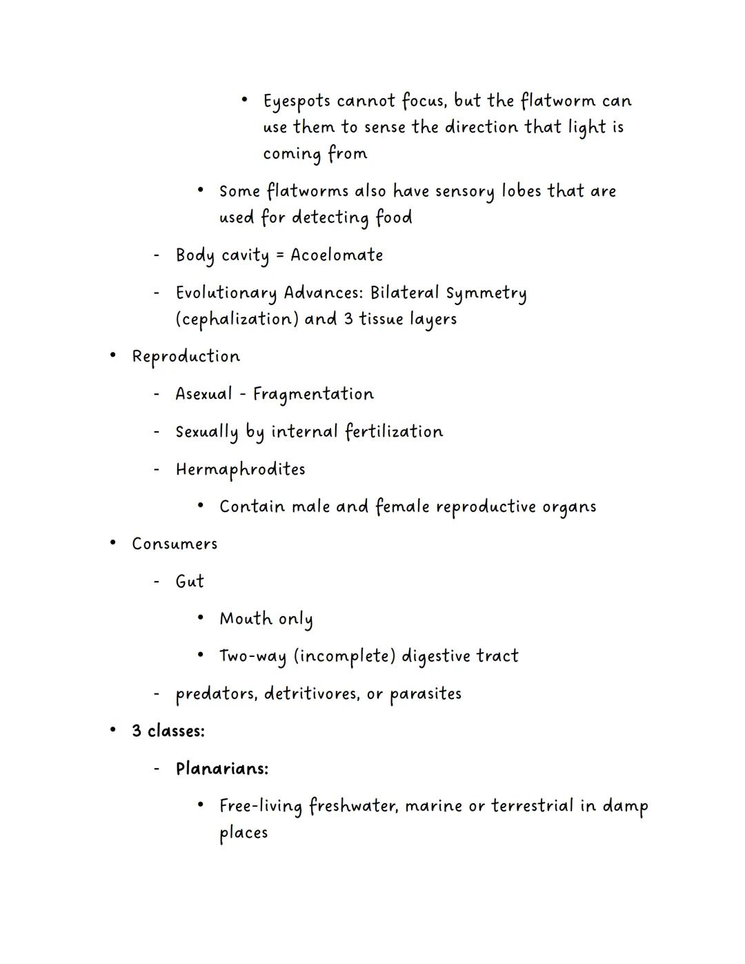 Phylum Porifera

Invertebrates

Example: Sponges

Physical Characteristics

Asymmetrical

No tissues

No coelom (acelomates)

Evolutionary A