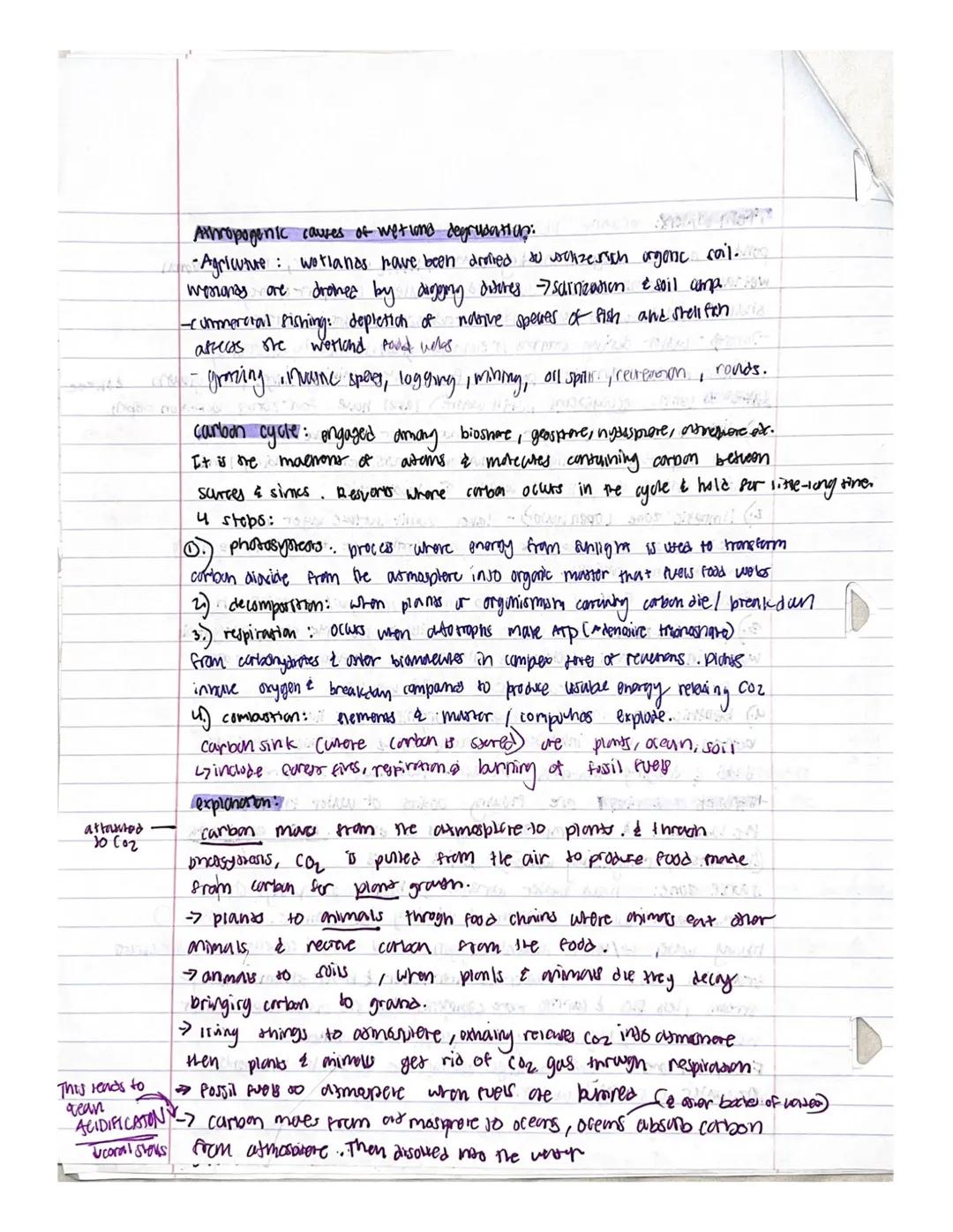 
<h2 id="unit1thelivingworldecosystems">Unit 1: The Living World - Ecosystems</h2>
<p>In this unit, we will be exploring ecosystems and biom