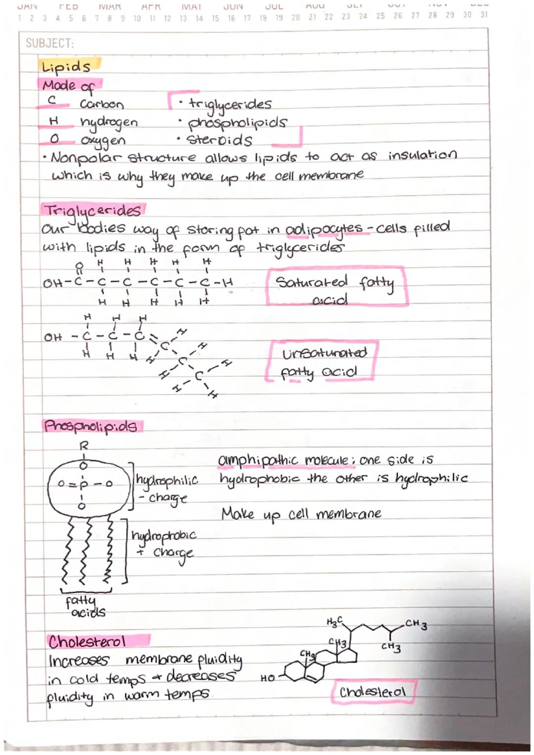 
<h2 id="introduction">Introduction</h2>
<p>The Chemistry of Life is a fundamental topic in biology that explores the basic building blocks 