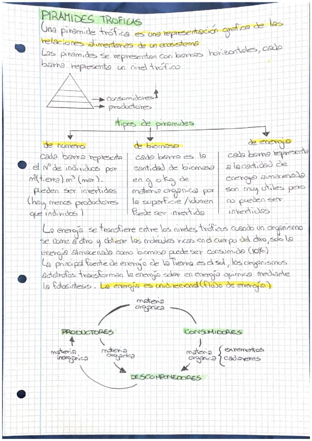 # PIRAMIDES TROFICAS
Una piramide trófica es una representación grafica de las
helaciones alimentaries de on ecosistema
Las pinamides se rep