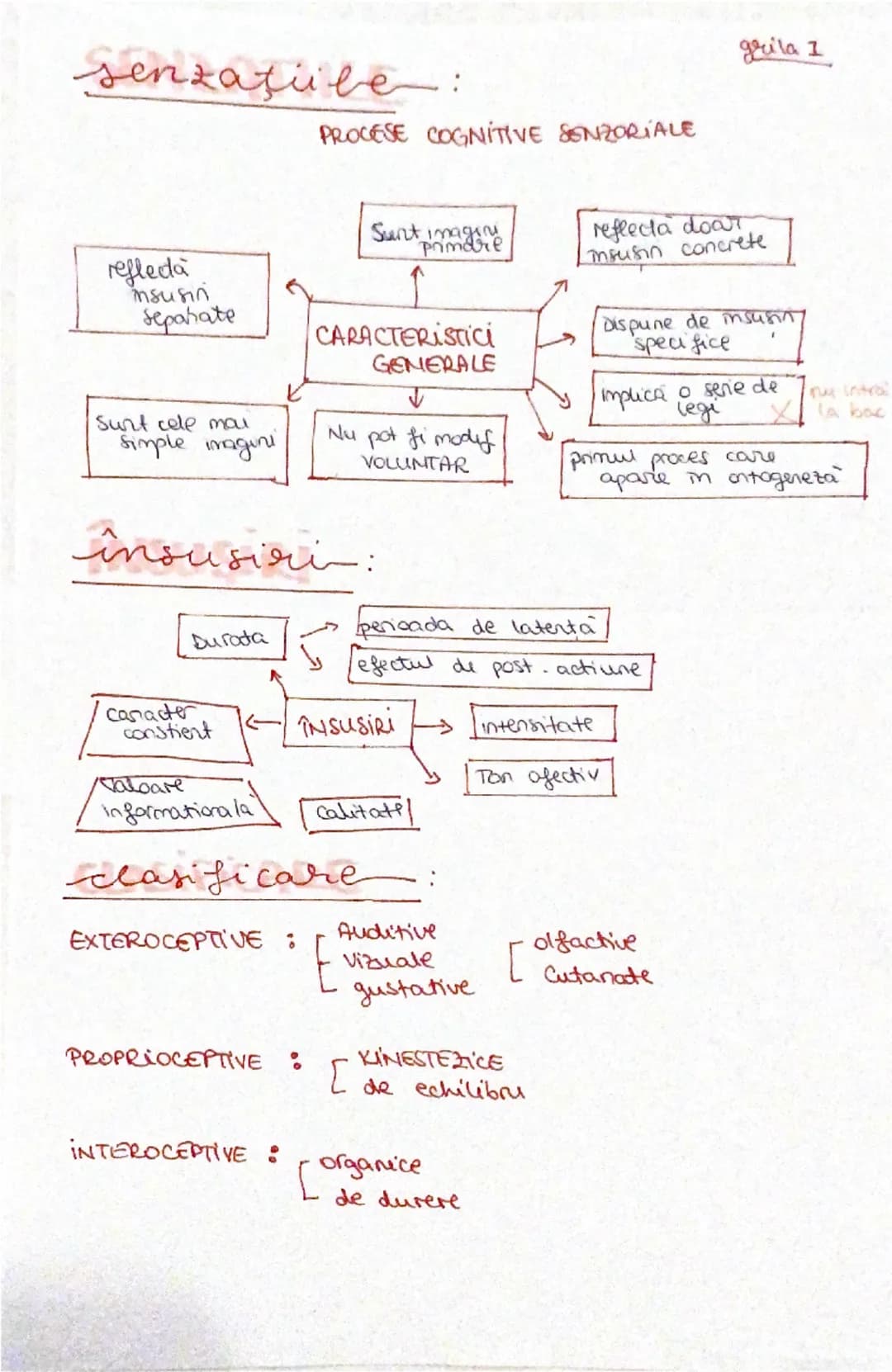 procese pritive cognitive
senzoriabe

PROCESELE COGNITIVE SENDORIALE
| I Senzatia | II Perceptia | III Reprezentarea |
| ----------- | -----