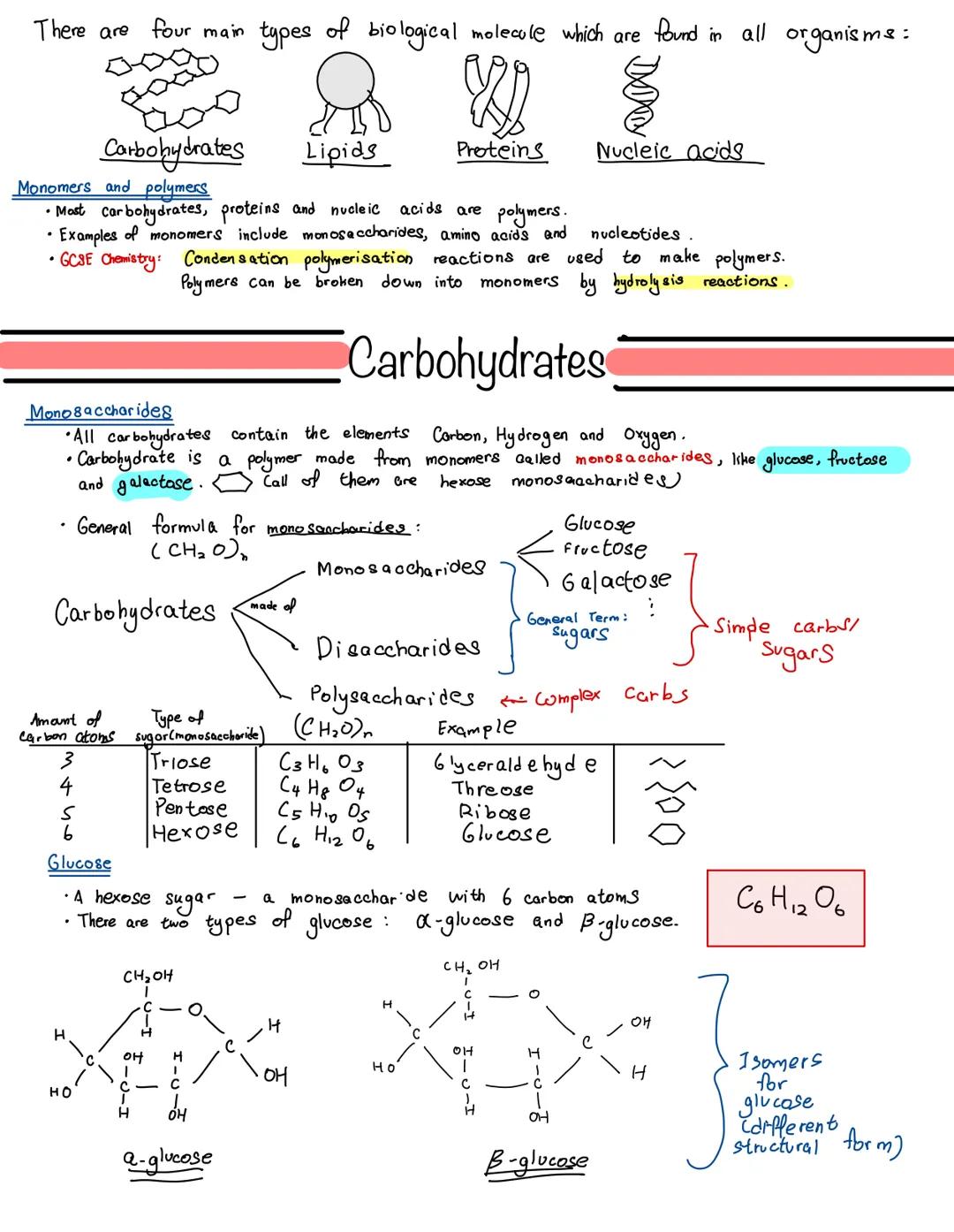 There are four main types of biological molecule which are found in all organisms:

0000
مممم

Carbohydrates

Lipids

Proteins

Nucleic acid