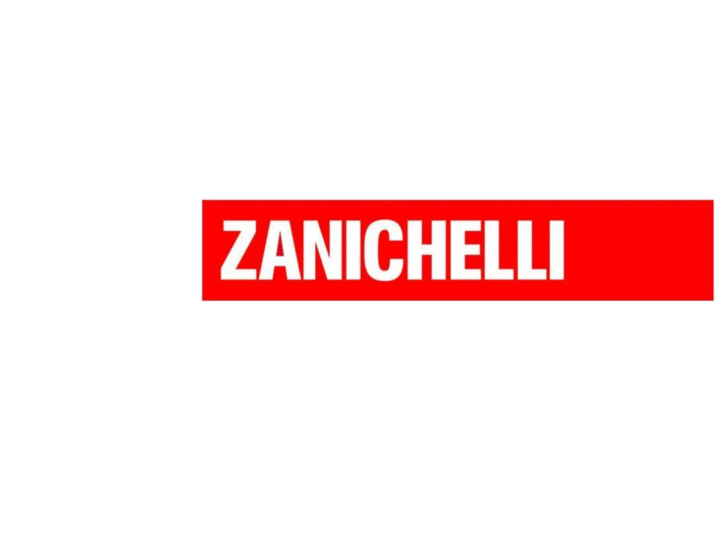 ZANICHELLI Fabio Fanti

Biologia,
microbiologia
e tecniche di
controllo sanitario Capitolo 10

I virus

Fabio Fanti, Biologia, Microbiologia