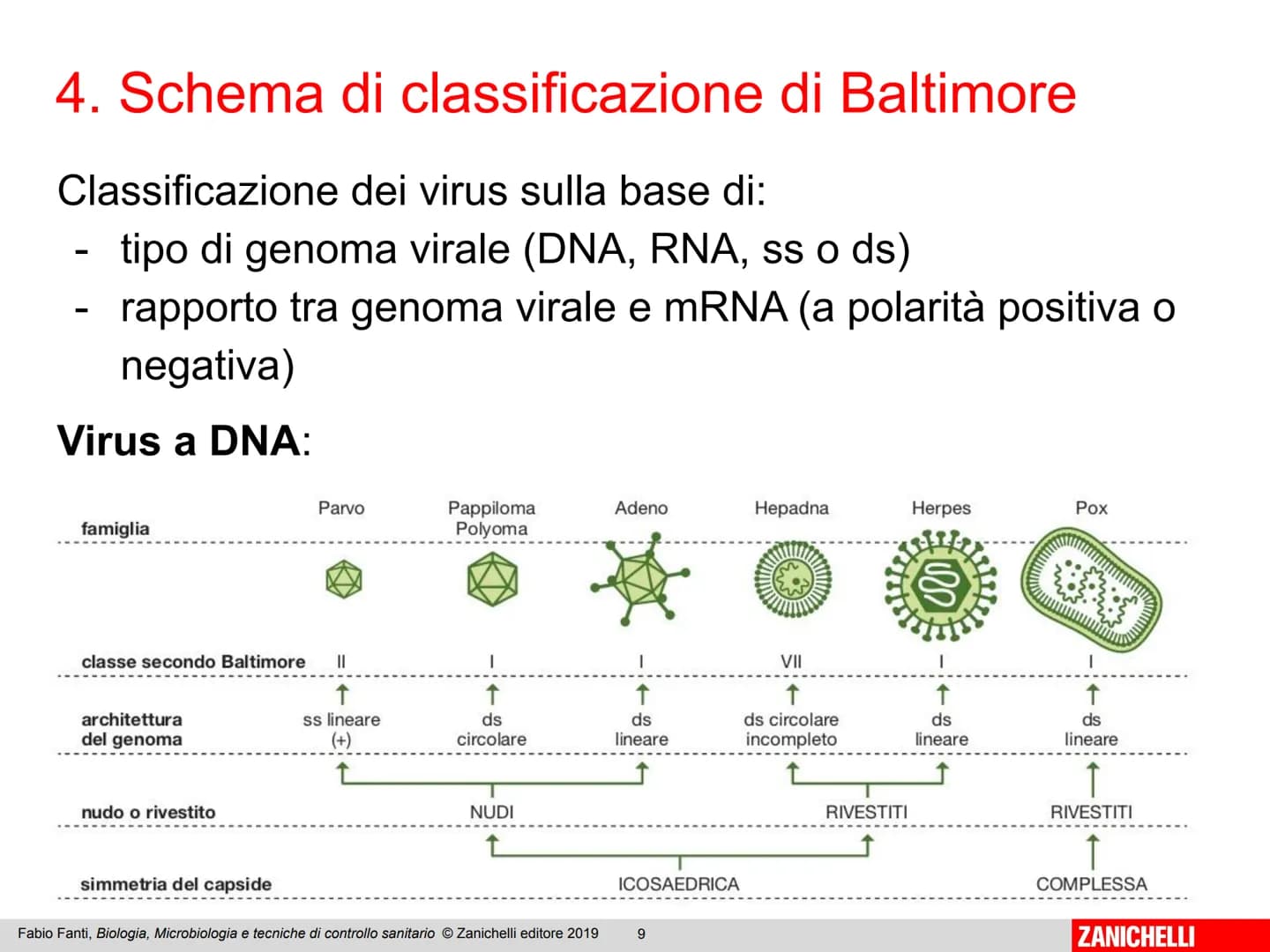 ZANICHELLI Fabio Fanti

Biologia,
microbiologia
e tecniche di
controllo sanitario Capitolo 10

I virus

Fabio Fanti, Biologia, Microbiologia