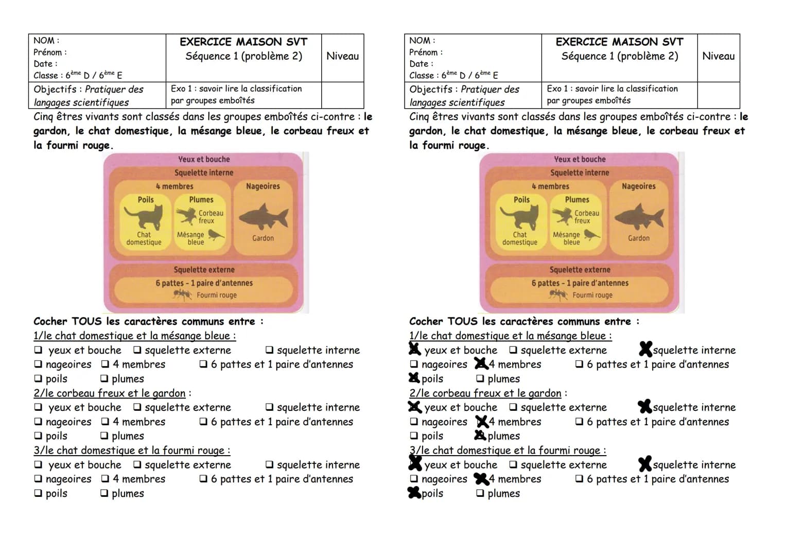 NOM:
Prénom:
Date:
Classe: 6ème D/6ème E
Objectifs: Pratiquer des
langages scientifiques
EXERCICE MAISON SVT
Séquence 1 (problème 2)
Niveau

