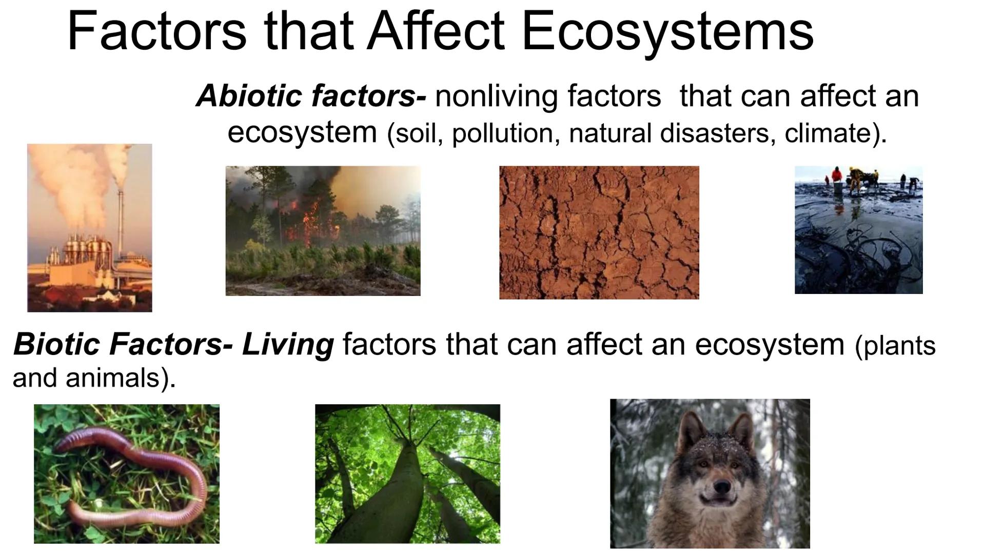 # ECOLOGY

Topic: Introduction to Ecology
Student Notes ECOLOGY is the scientific study of interactions among
organisms with each other and 