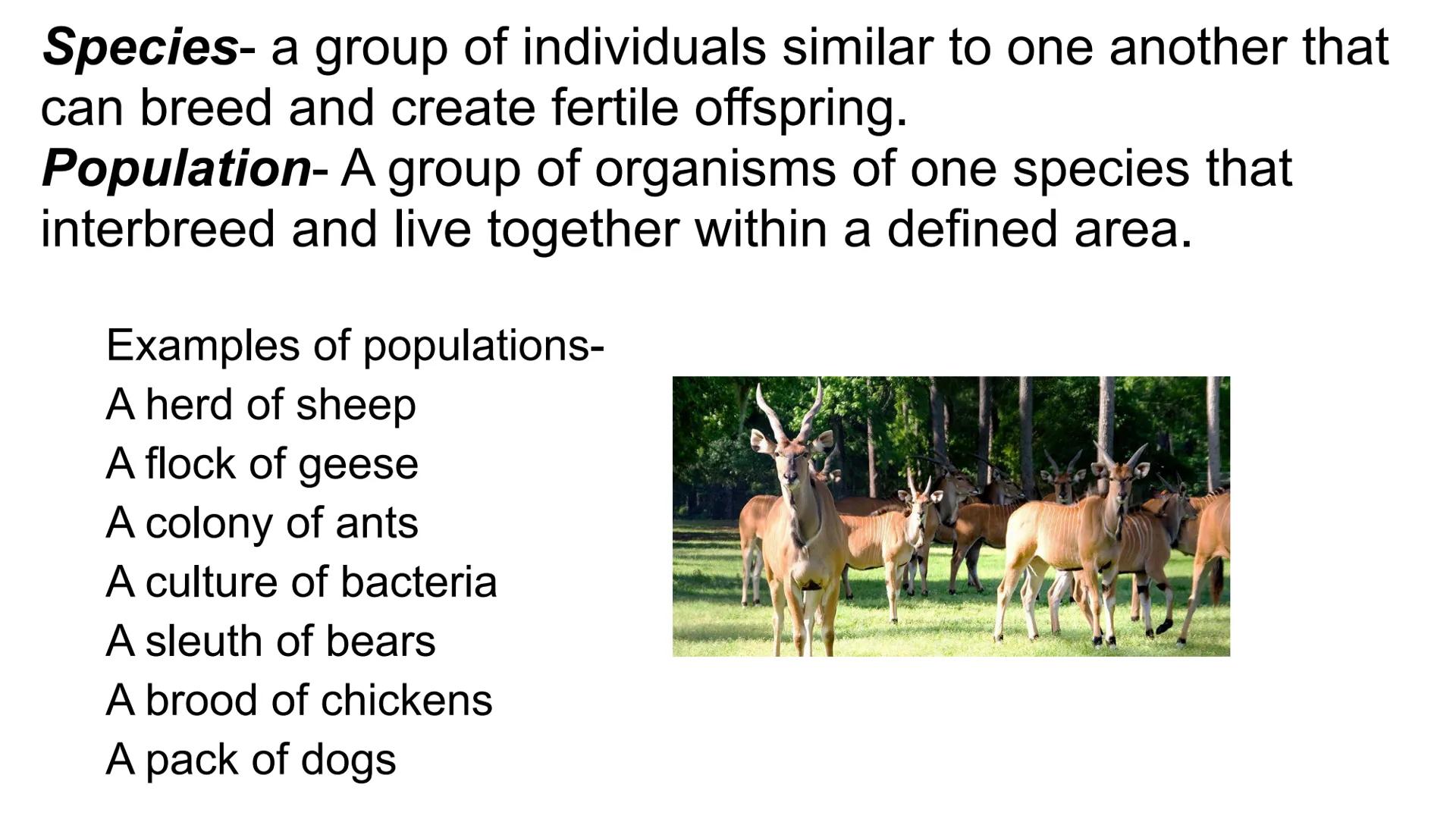 # ECOLOGY

Topic: Introduction to Ecology
Student Notes ECOLOGY is the scientific study of interactions among
organisms with each other and 