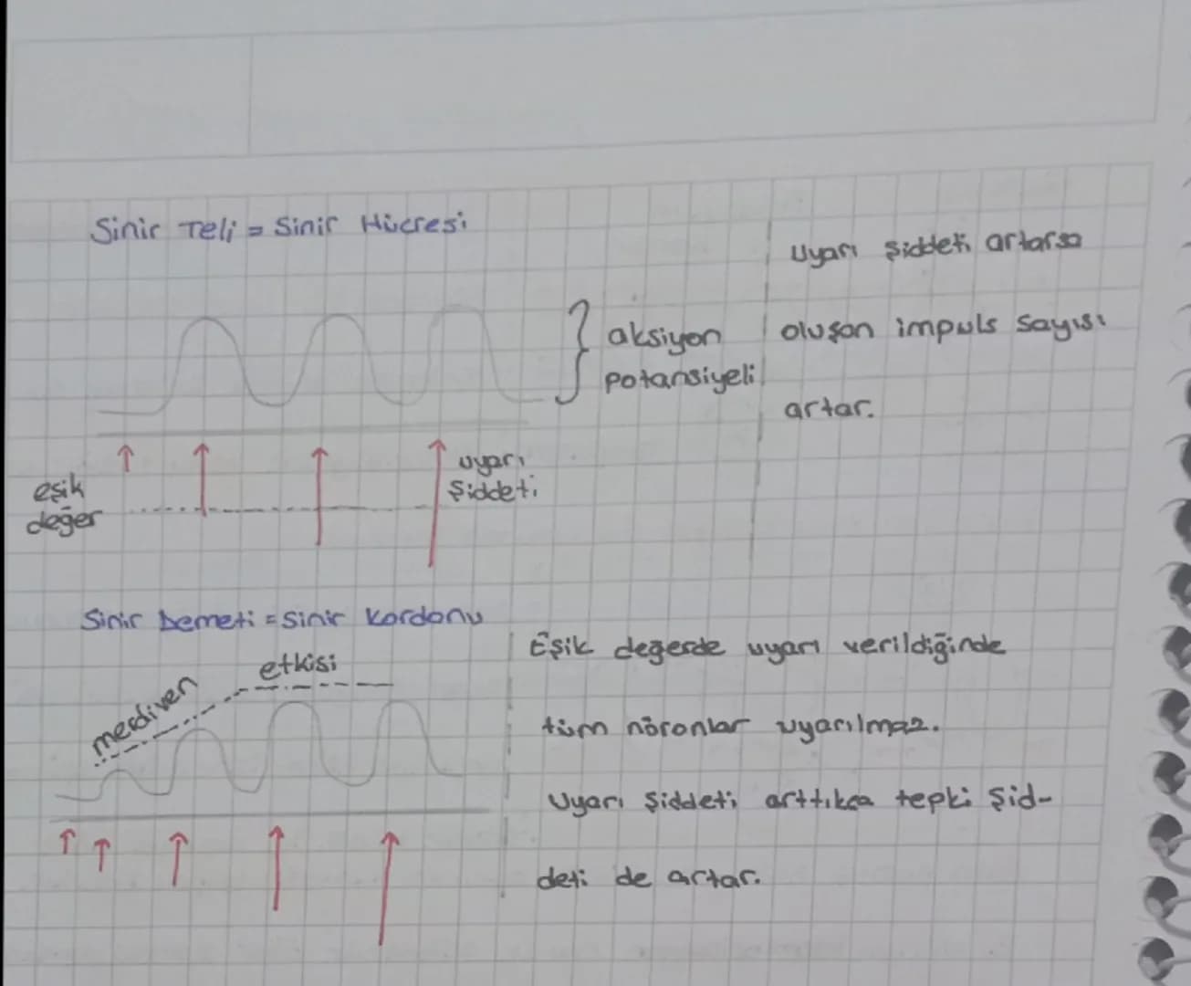 Dentrit

Hicre
Gövdesi

lelim
yons

Ronvier
Boğumu

(cekirdek)

miyelin
Kily

Schwann
Hücresi Lipoprotein

Akson
yapıl
Uçları

Sentrozomu ya