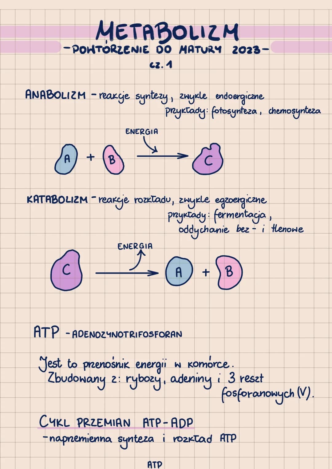 # METABOLIZM
-POHTORZENIE DO MATURY 2023-
сг. 1
ANABOLIZM - reakcje syntezy, zwykle endoergiczne
prykłady: fotosynteza, chemosynteza

ENERGI