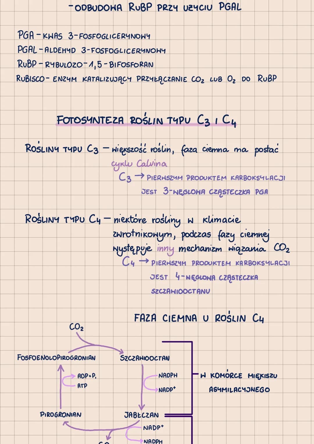# METABOLIZM
-POHTORZENIE DO MATURY 2023-
сг. 1
ANABOLIZM - reakcje syntezy, zwykle endoergiczne
prykłady: fotosynteza, chemosynteza

ENERGI
