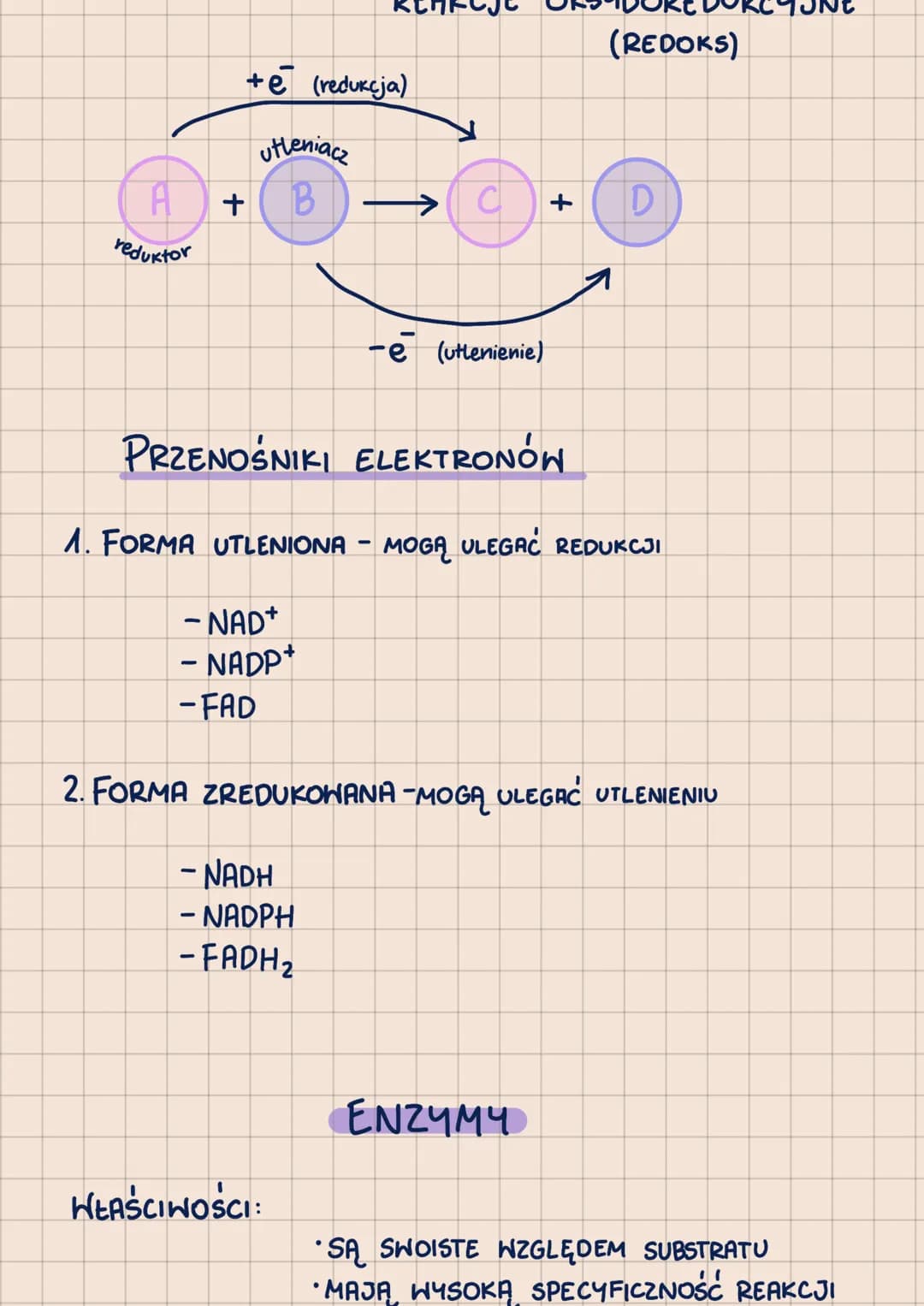 # METABOLIZM
-POHTORZENIE DO MATURY 2023-
сг. 1
ANABOLIZM - reakcje syntezy, zwykle endoergiczne
prykłady: fotosynteza, chemosynteza

ENERGI