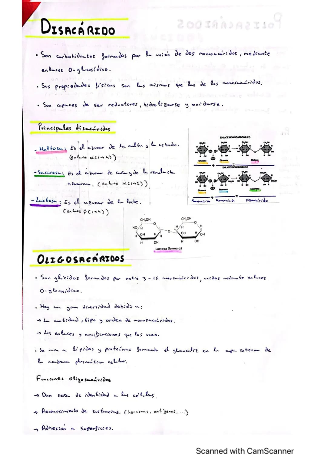 # TEMA EMA 2: GLÚCIDOS
ln
• Son biomoléculas orgánicas formadus por C, H, O. (Azúcares)

• Químicamente, todos los glúcidos Cexcepto los mon
