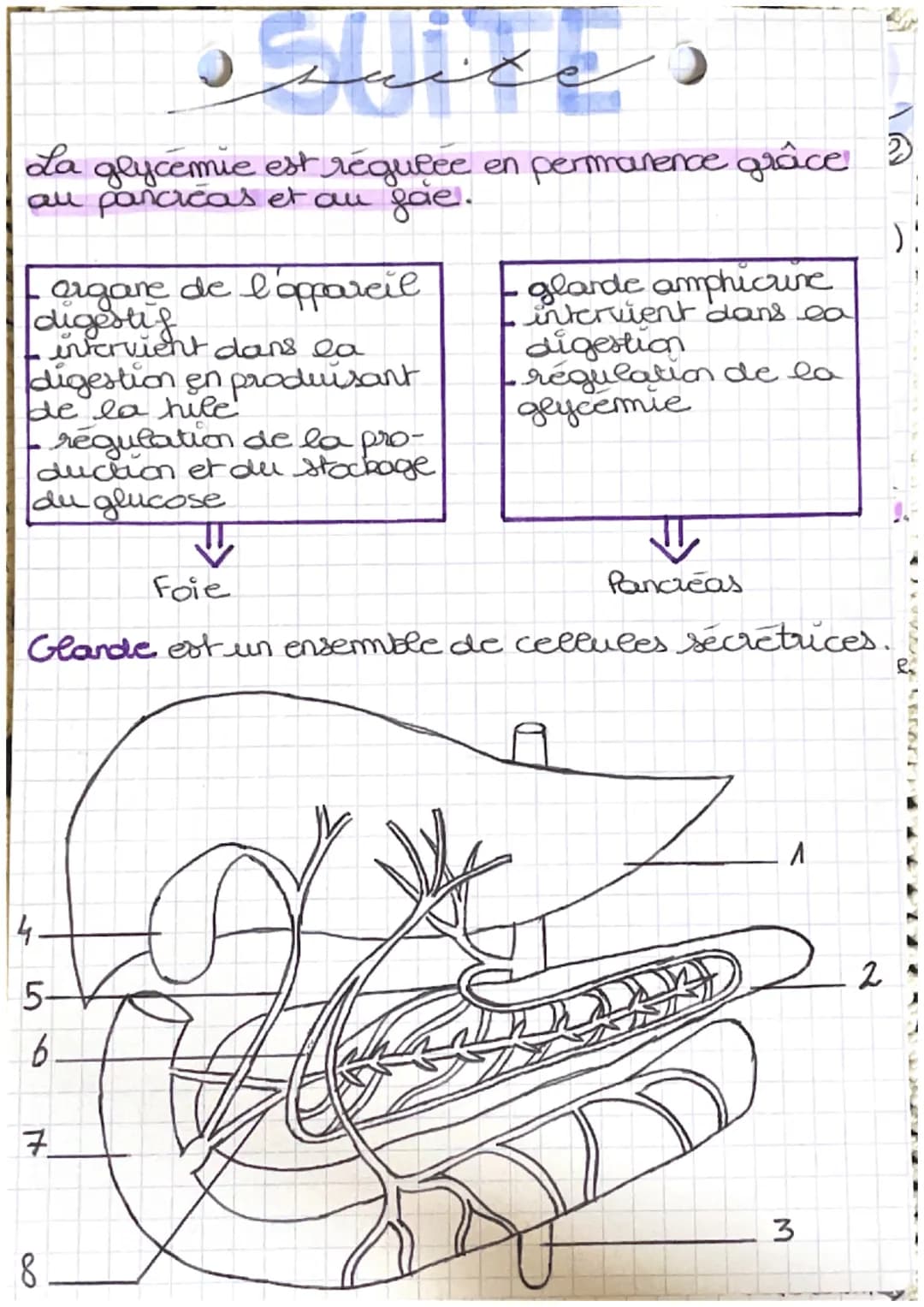 # ppbiologies

glyclo) = glucose émie = concentration dans le sang.
glycémie: est le tause de glucose dans le sang
glucose: nutrimont energe
