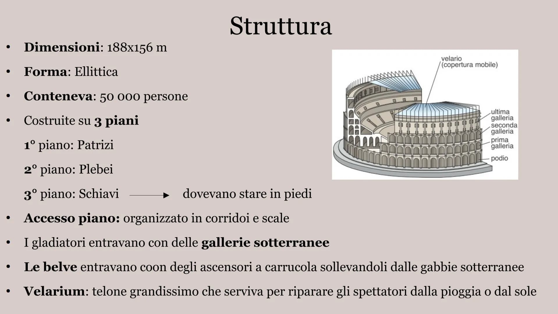 # IL COLOSSEO # Struttura

• Dimensioni: 188x156 m

• Forma: Ellittica

• Conteneva: 50 000 persone

• Costruite su 3 piani

  1º piano: Pat