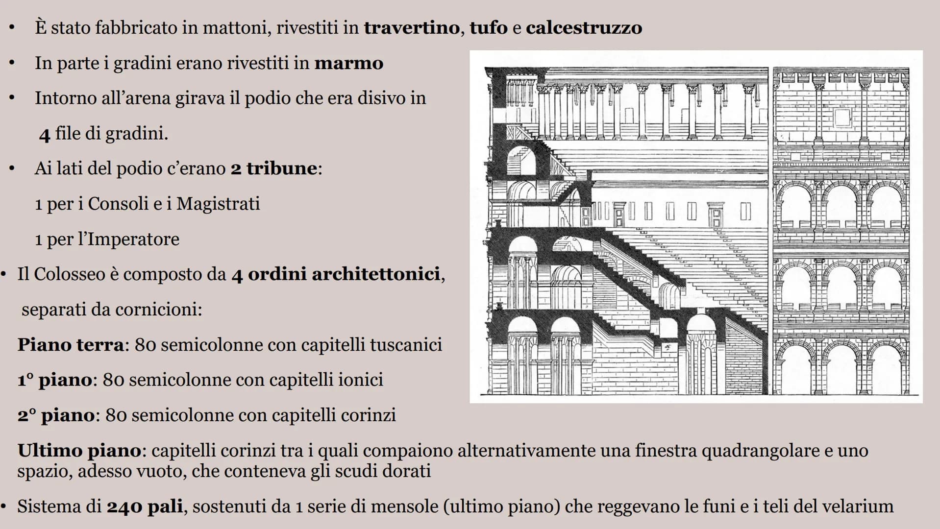 # IL COLOSSEO # Struttura

• Dimensioni: 188x156 m

• Forma: Ellittica

• Conteneva: 50 000 persone

• Costruite su 3 piani

  1º piano: Pat
