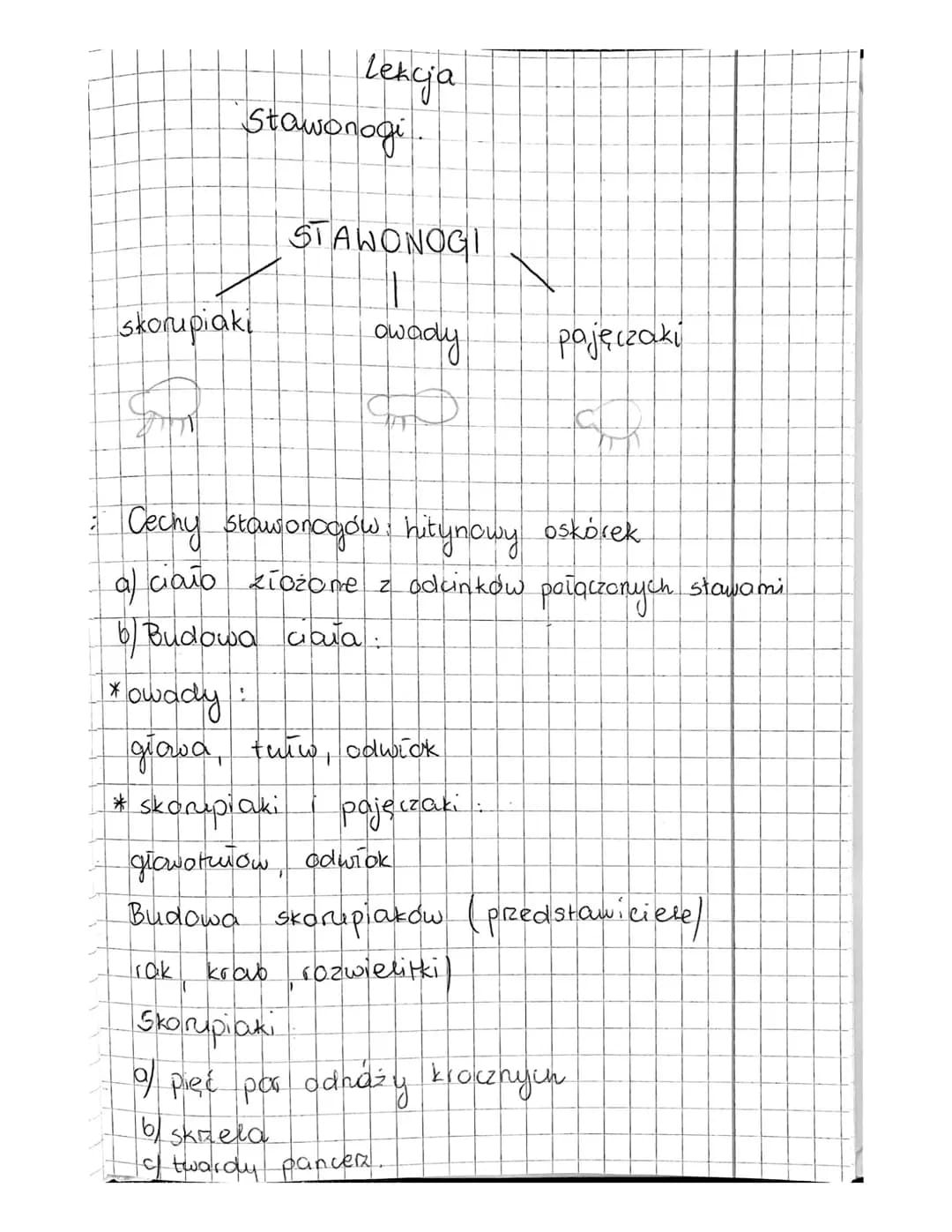 Lekcia
Stawonogi

STAWONOGI

skorupiaki
owady
pajęczaki


stawami
: Cechy stawonogów: hitynowy oskórek
a) ciało złożone z odcinków połączony