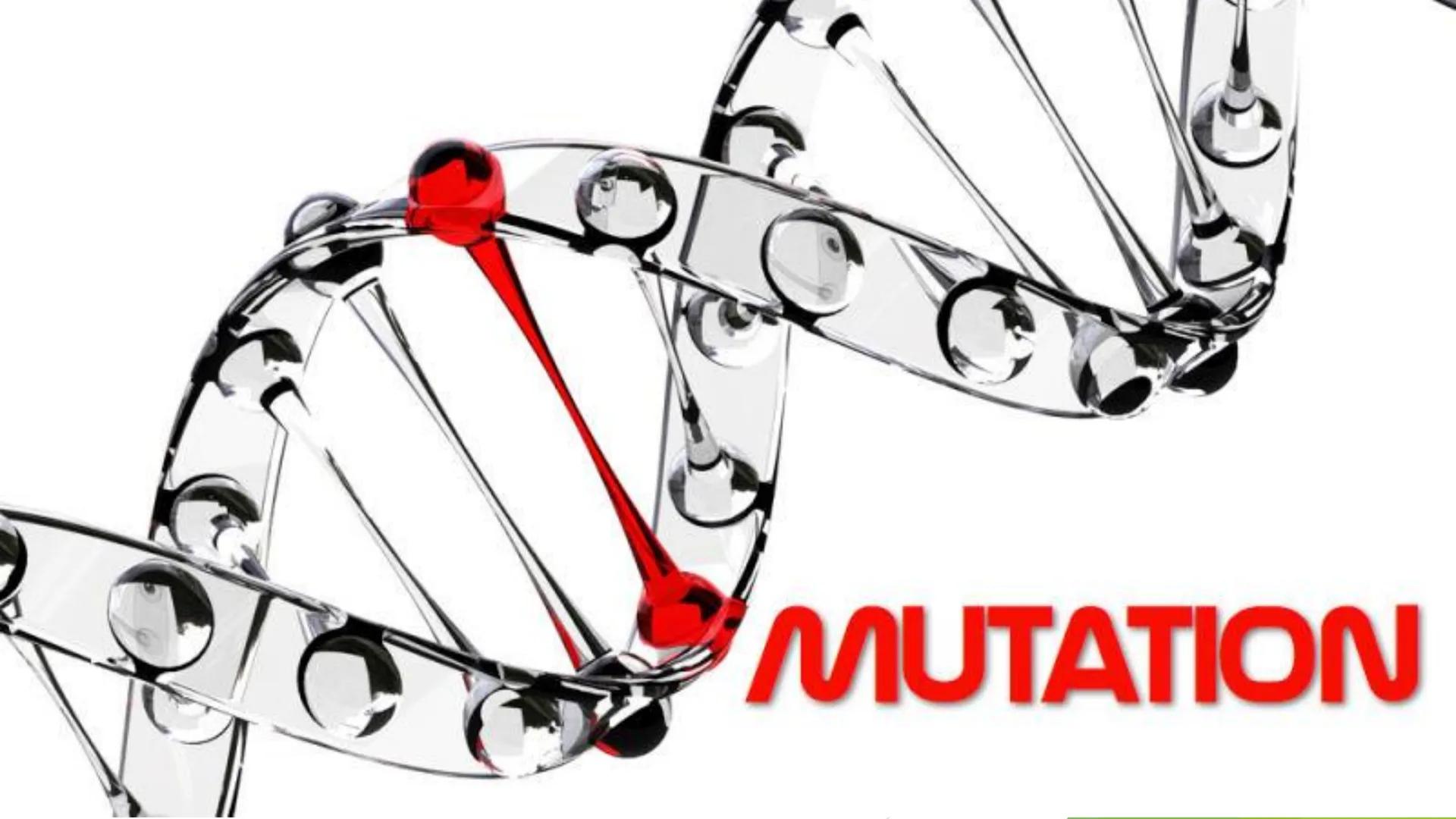 MUTATION • Changes in the protein structure or level of expression
may lead to changes in cellular properties and behavior,
as a result, the