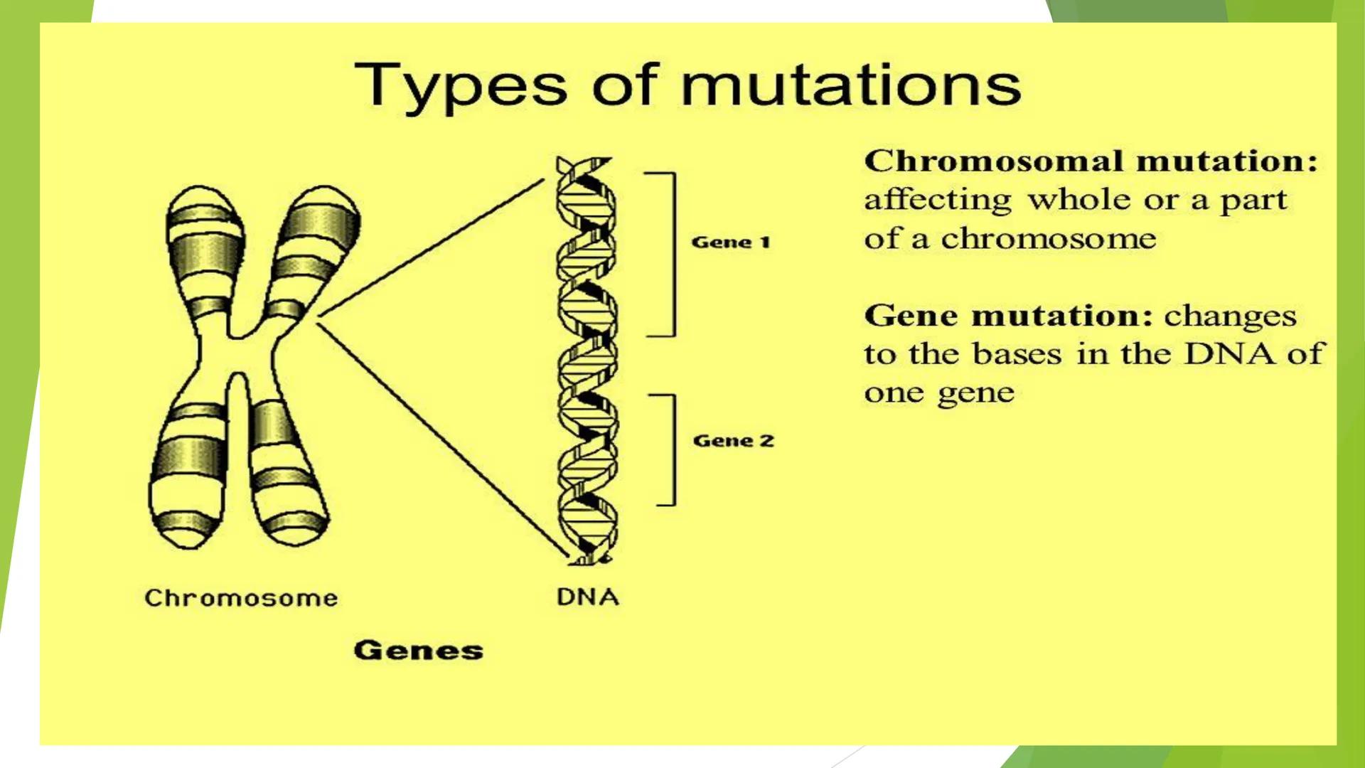 MUTATION • Changes in the protein structure or level of expression
may lead to changes in cellular properties and behavior,
as a result, the