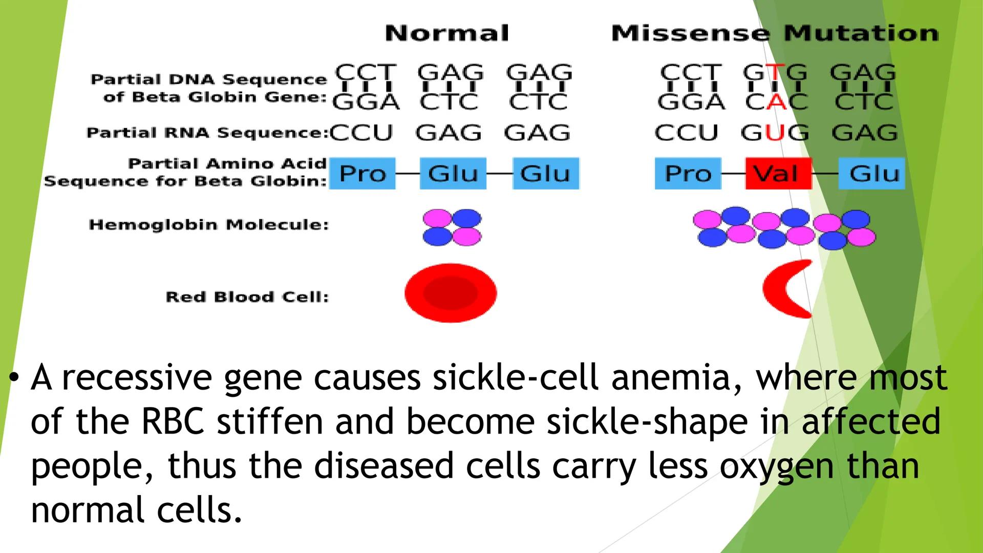 MUTATION • Changes in the protein structure or level of expression
may lead to changes in cellular properties and behavior,
as a result, the