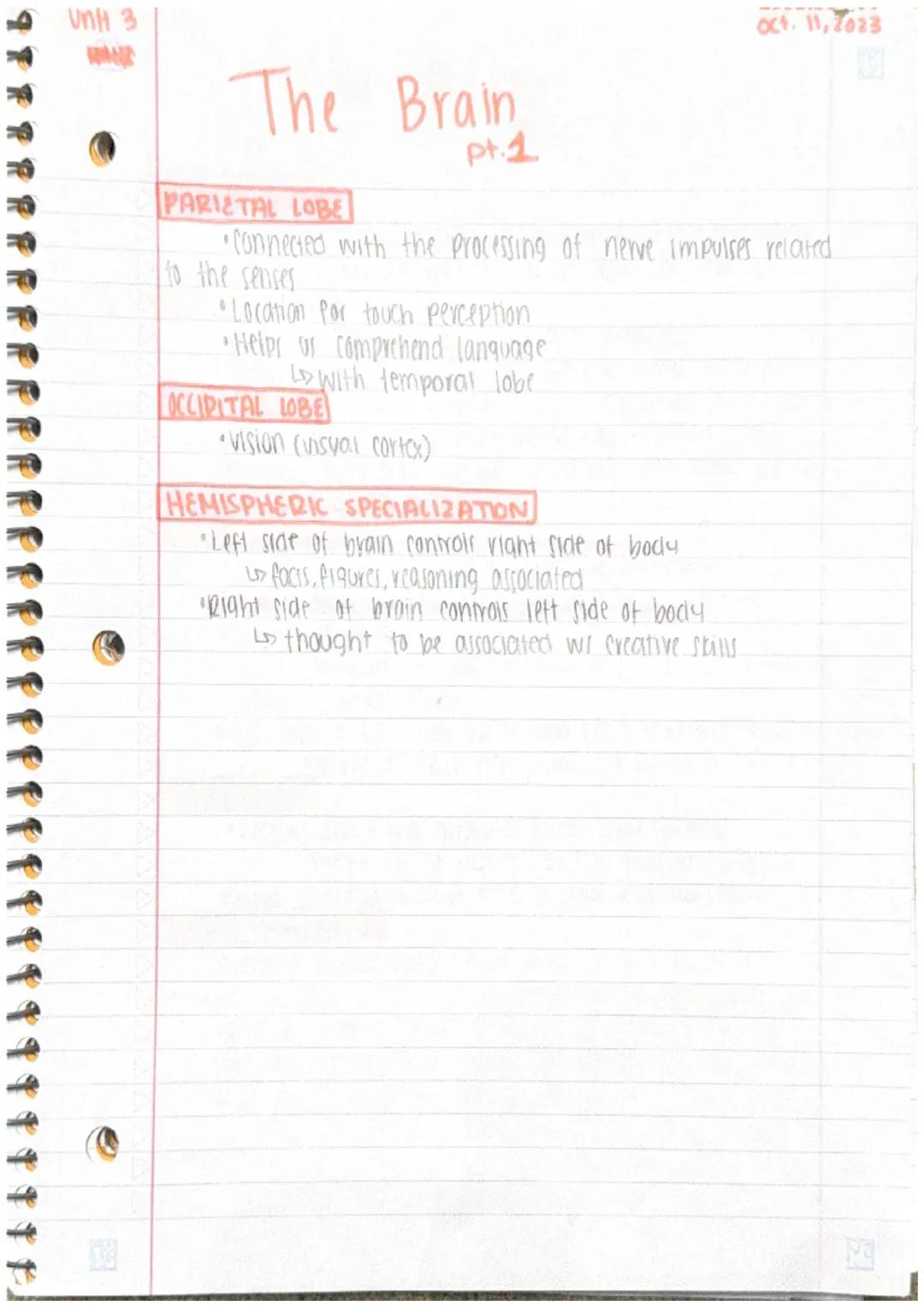 Unit 3
Pt.1
Anatomy

The Brain
pt.1
Oct. 11, 2023

BASIC BRAIN FACTS
*   largest part of brain cerebral hemispheres (85% brain)
*   2 other 
