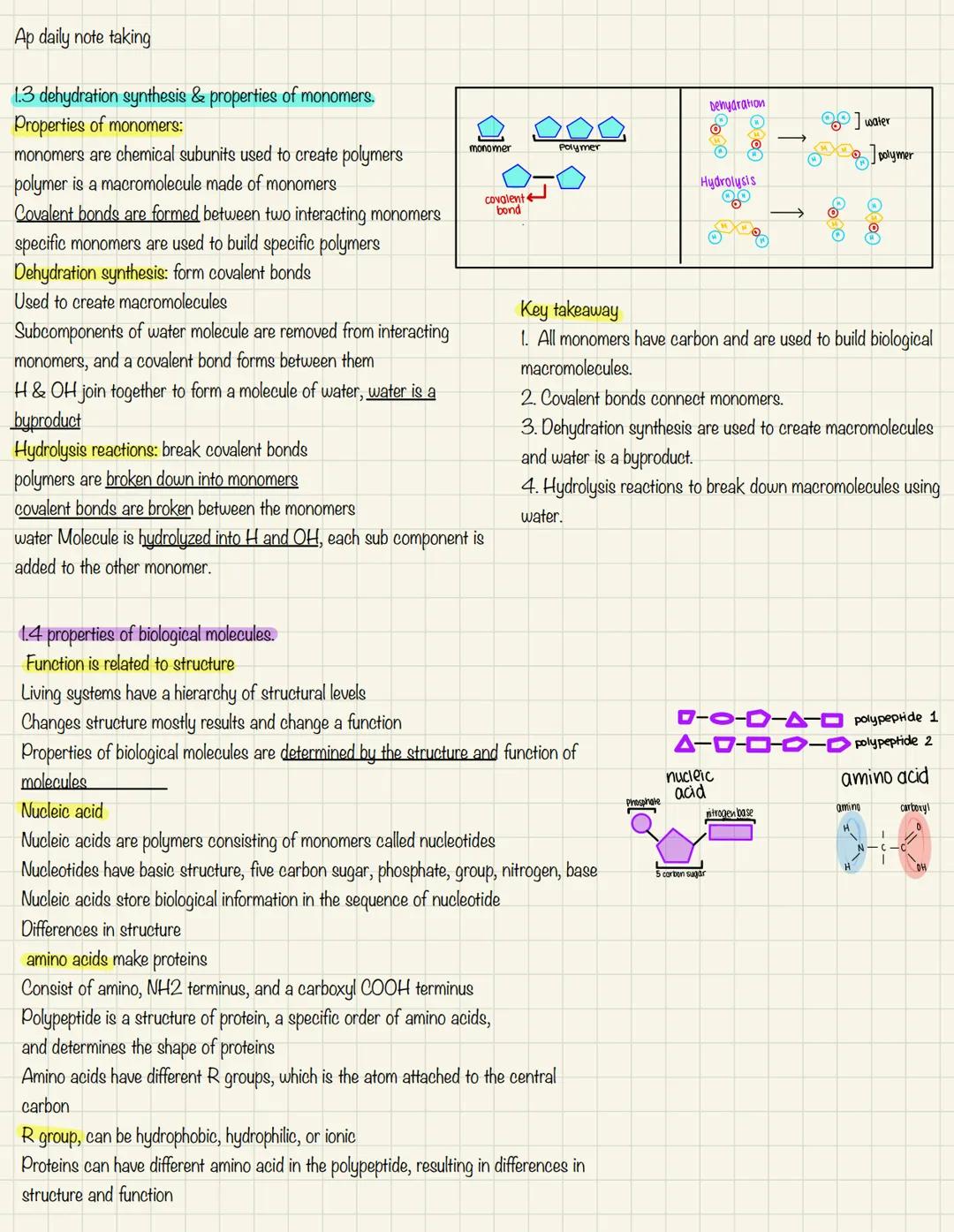 Ap daily note taking

1.3 dehydration synthesis & properties of monomers.
Properties of monomers:
monomers are chemical subunits used to cre