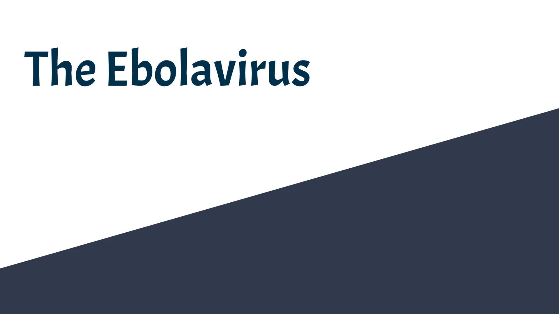 # The Ebolavirus # General Information

What Ebola Is And When Ebola
Became Prominent # Cause of the Disease
What type of microbe causes Ebo