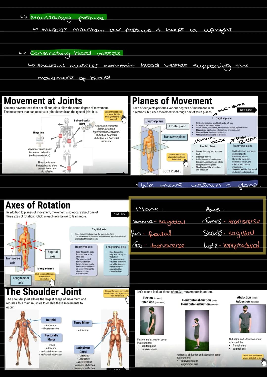 Skeletal muscle functions:
• Mineral Storage
Protection of vital organs.
SSPPMM
formation of jants.
to allow movement
structune.
Production 
