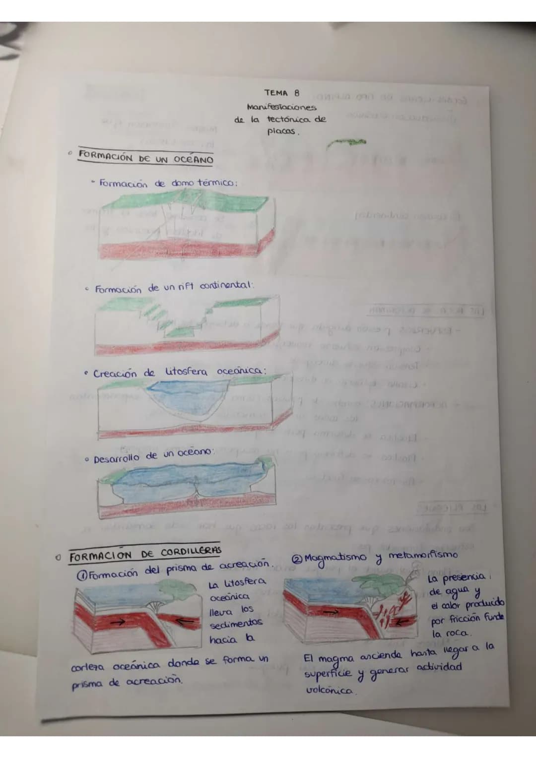 # TEMA 7
La tectónica
de placas

La litosfera oceánica se crea en las dorsales, y a partir de ellas se extiende a ambos
lados Toda litosfera