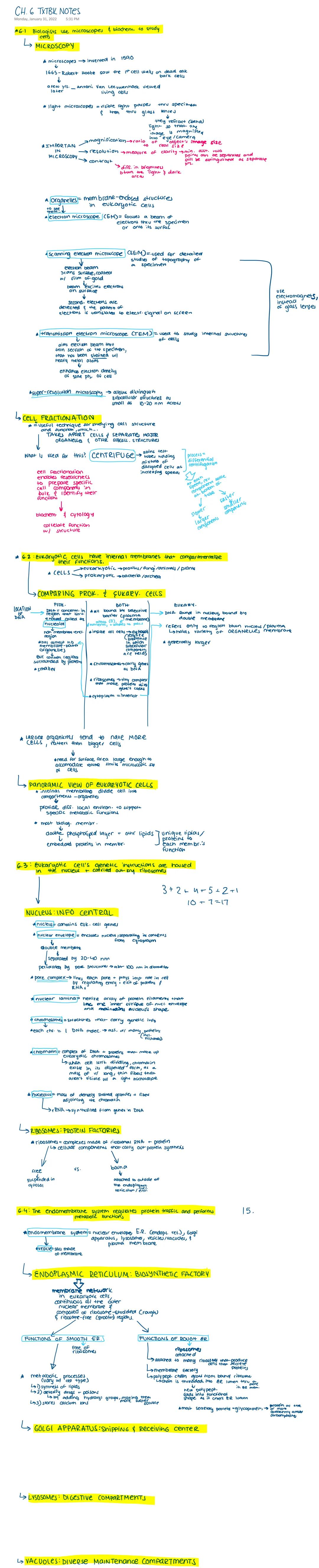 # CH. 6 THESE NOTES

## 6.1: Biologists use microscopes & techniques to study cells

### MICROSCOPY

*   Microscopes were invented in 1600s

