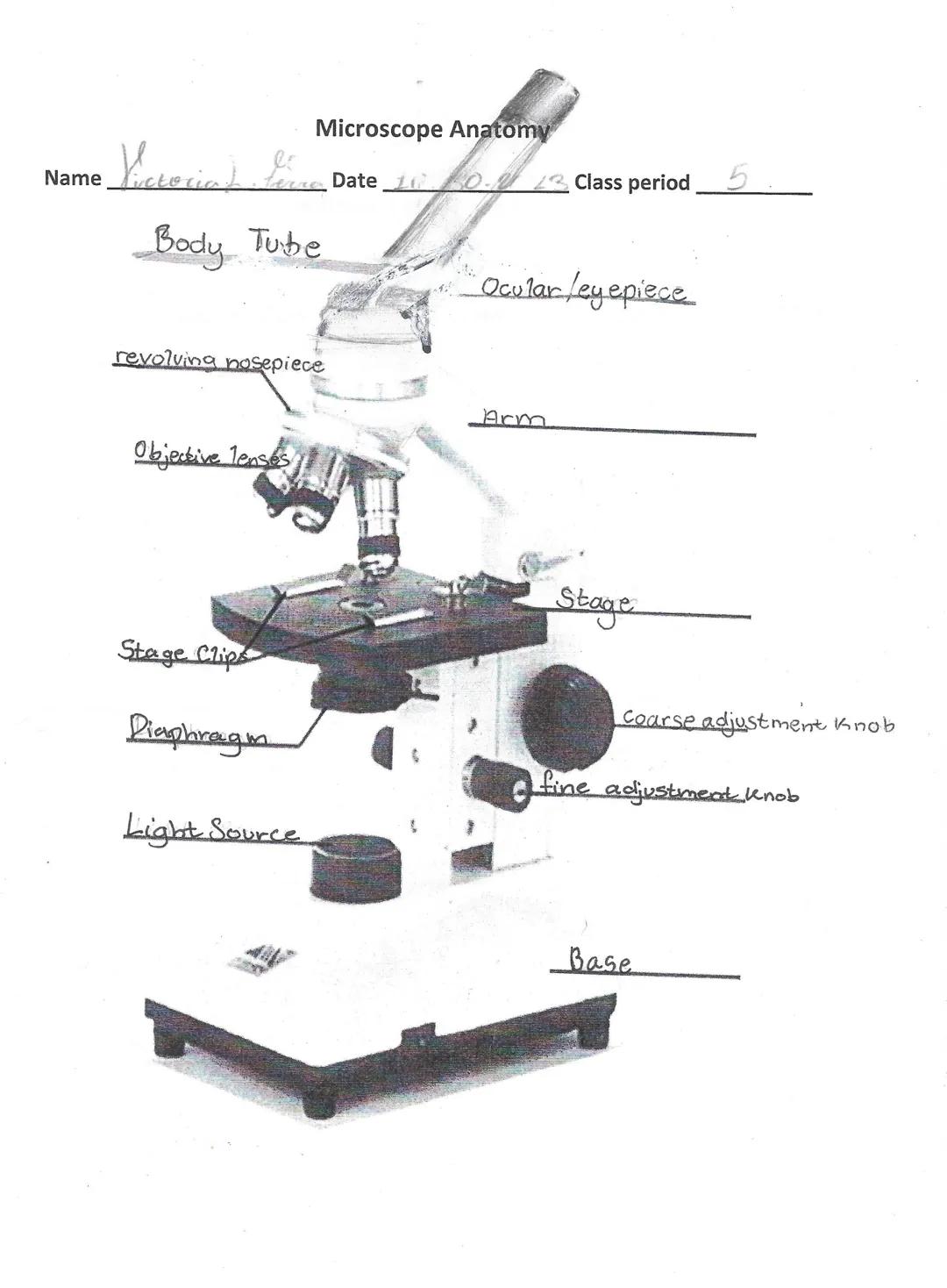 l
Victoria) Line
Name uctocic
Microscope Anatomy
Body Tube
Date 10 0.1 13 Class period 5
revolving nosepiece
Ocular/eyepiece
Arm
Objective l