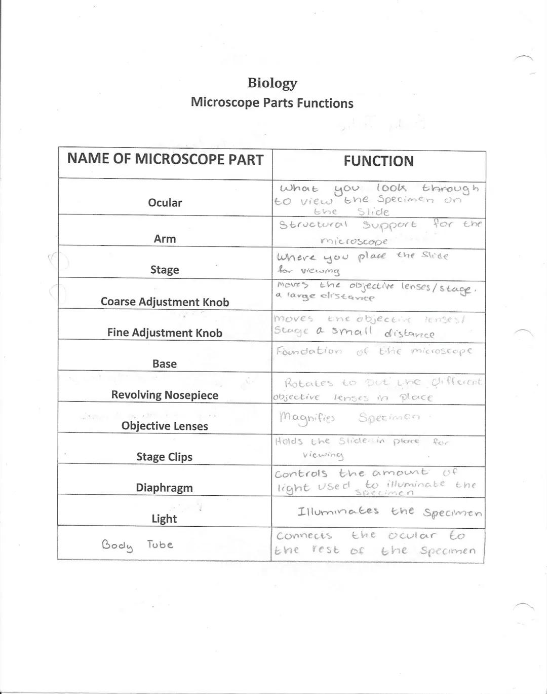 l
Victoria) Line
Name uctocic
Microscope Anatomy
Body Tube
Date 10 0.1 13 Class period 5
revolving nosepiece
Ocular/eyepiece
Arm
Objective l