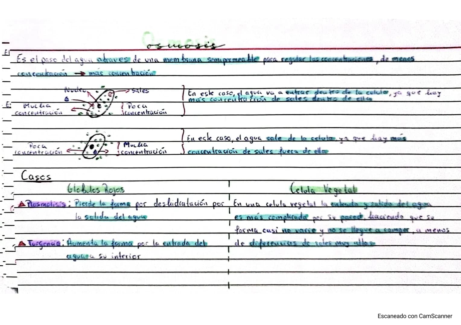 ☑ Biologia Bioquimica 2º Bachillerato A

bloque I: bio quimica

19/9/23

la base quimica de la vida (Tema 1)

• Los Bioelementos,

Los bioel