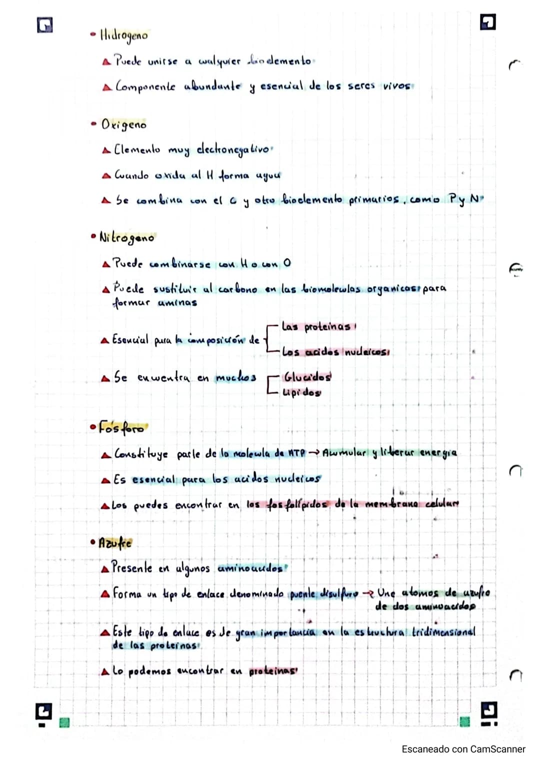 ☑ Biologia Bioquimica 2º Bachillerato A

bloque I: bio quimica

19/9/23

la base quimica de la vida (Tema 1)

• Los Bioelementos,

Los bioel