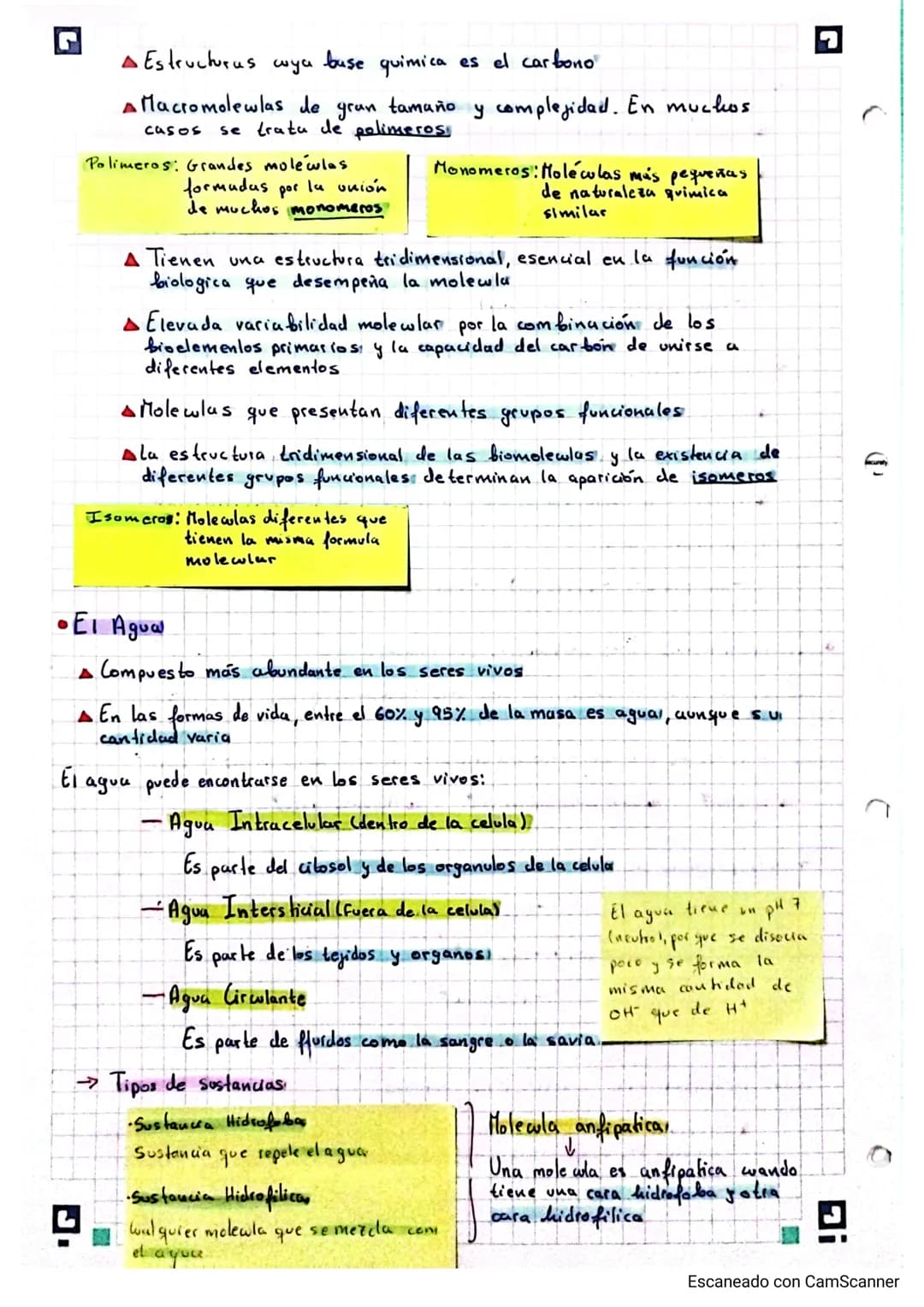 ☑ Biologia Bioquimica 2º Bachillerato A

bloque I: bio quimica

19/9/23

la base quimica de la vida (Tema 1)

• Los Bioelementos,

Los bioel