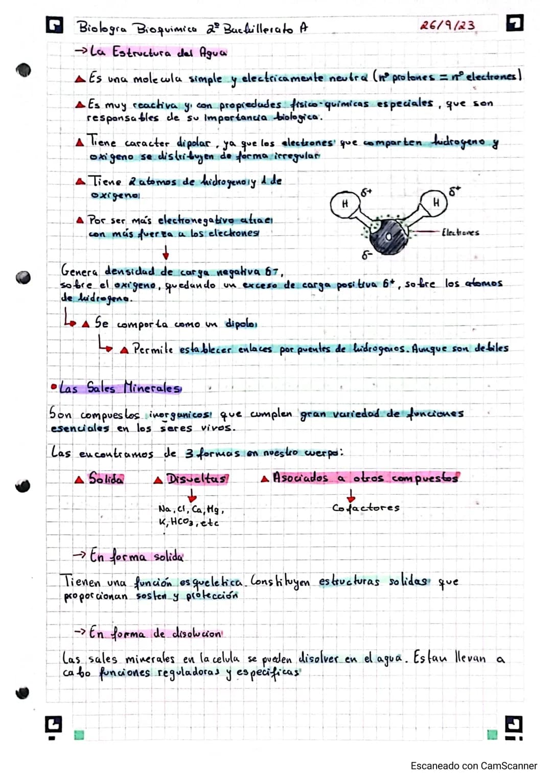 ☑ Biologia Bioquimica 2º Bachillerato A

bloque I: bio quimica

19/9/23

la base quimica de la vida (Tema 1)

• Los Bioelementos,

Los bioel