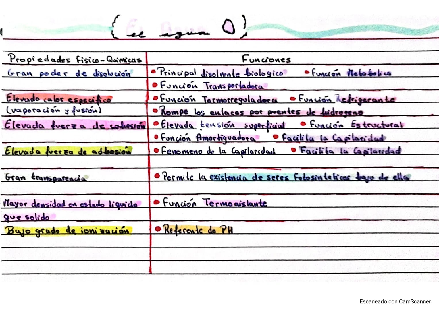 ☑ Biologia Bioquimica 2º Bachillerato A

bloque I: bio quimica

19/9/23

la base quimica de la vida (Tema 1)

• Los Bioelementos,

Los bioel