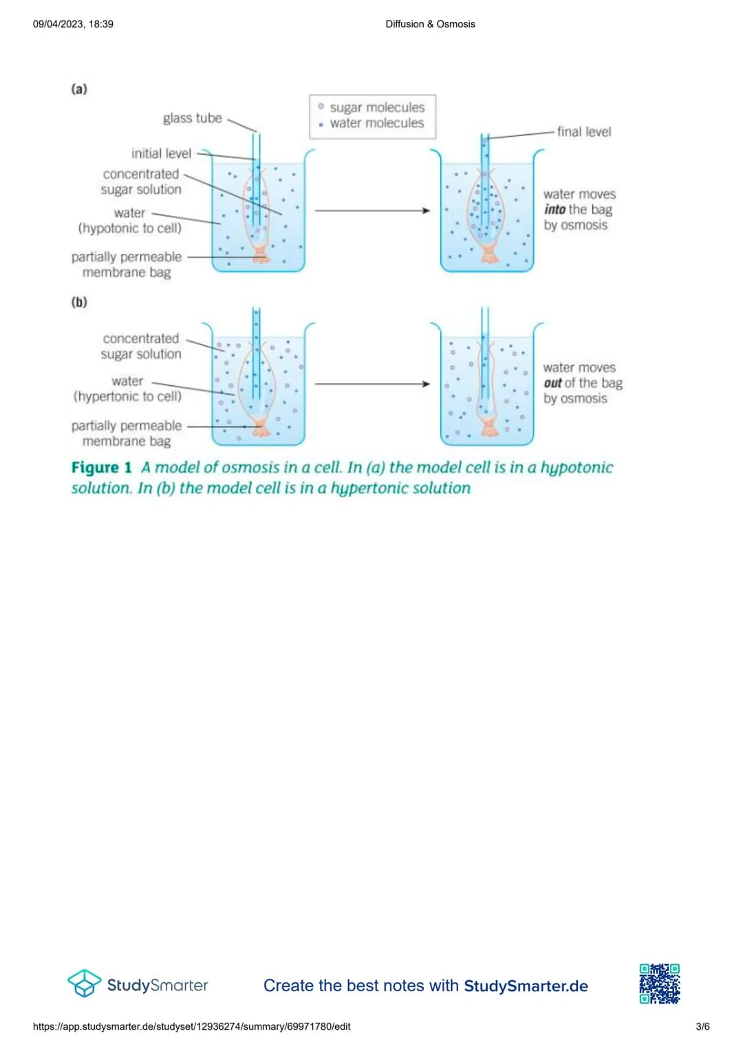 09/04/2023, 18:39

Diffusion & Osmosis

Diffusion & Osmosis

Diffusion:

Definition
Diffusion - The movement of particles form an area of hi